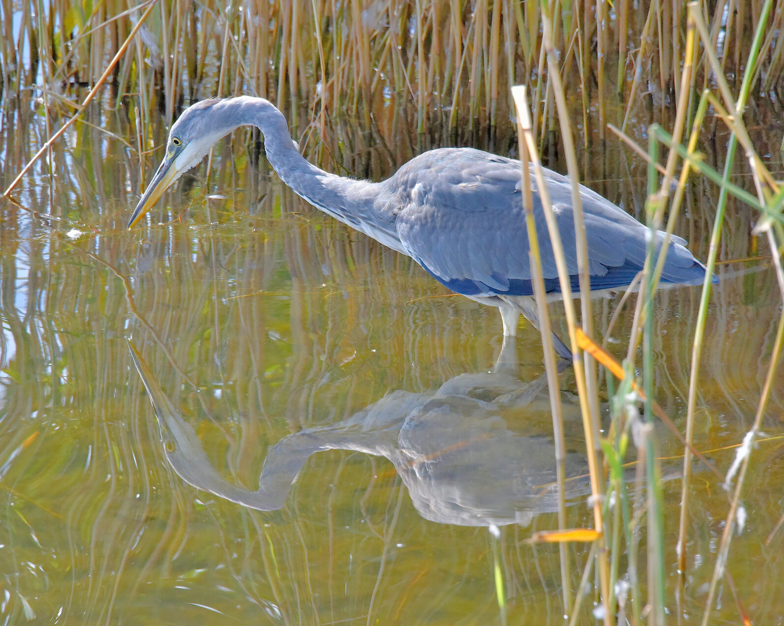 Valokuvaaja: Reijo Juurinen
