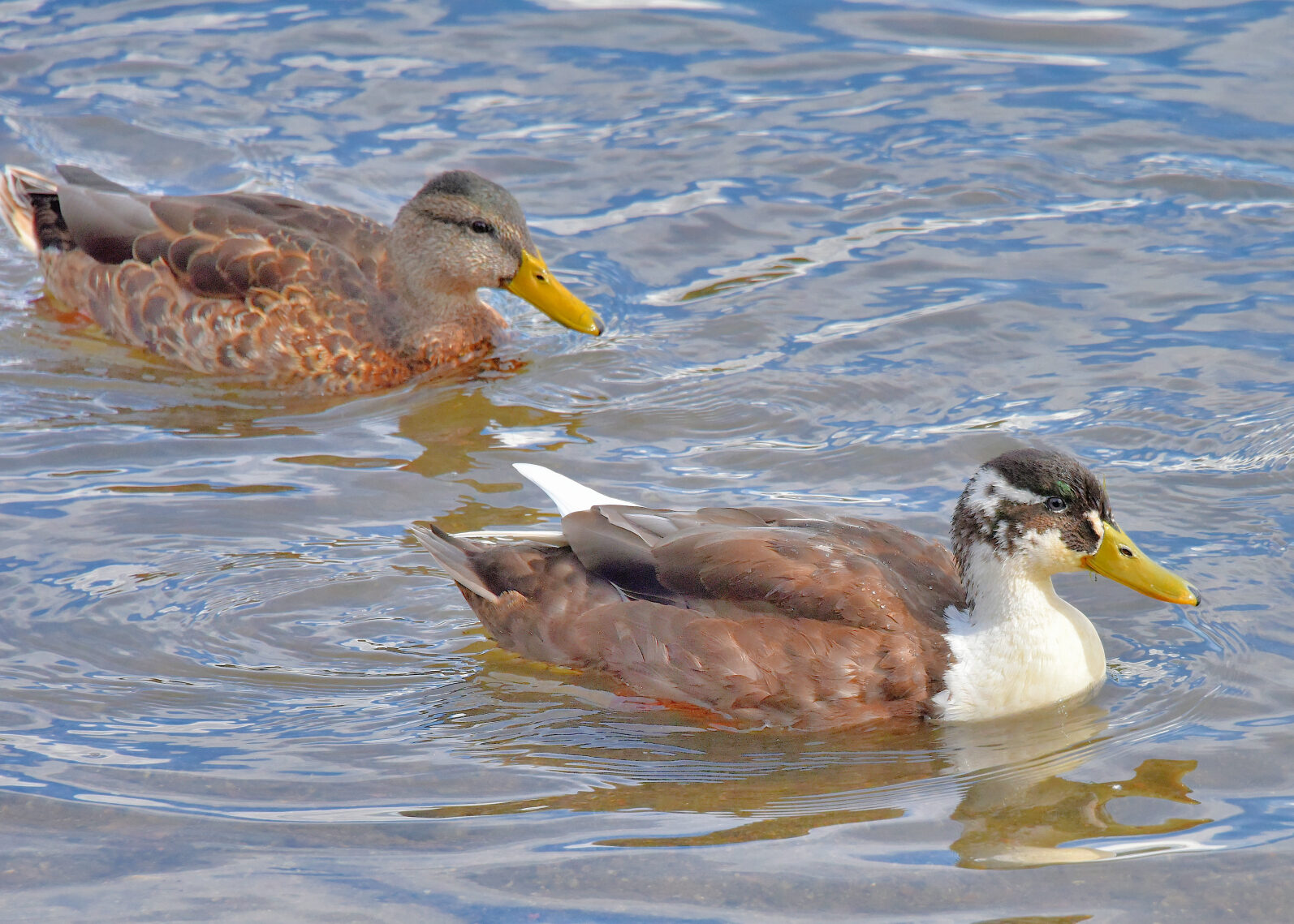 Valokuvaaja: Reijo Juurinen