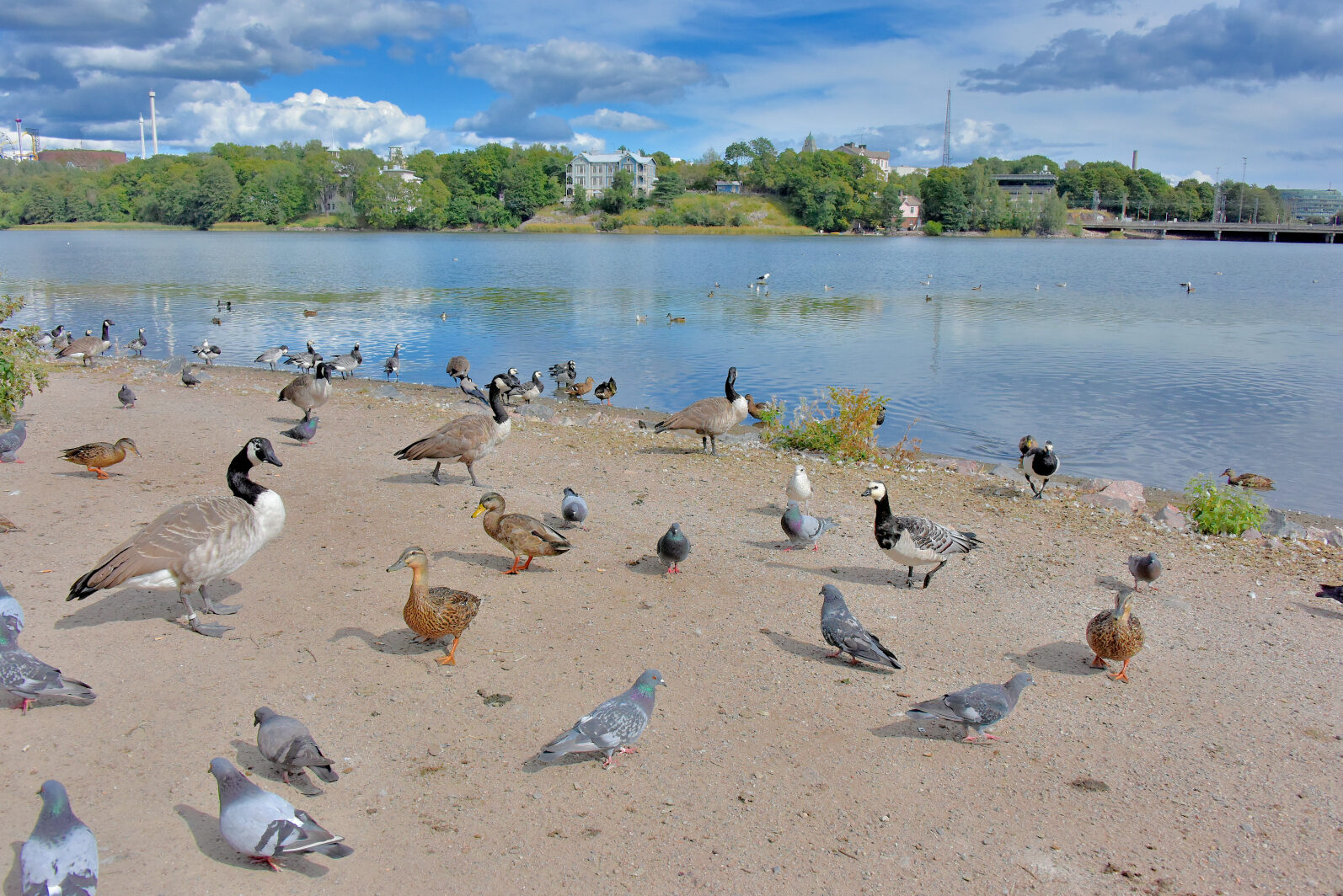Valokuvaaja: Reijo Juurinen