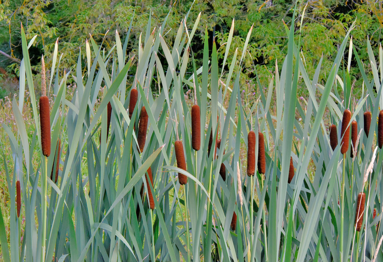 Valokuvaaja: Reijo Juurinen