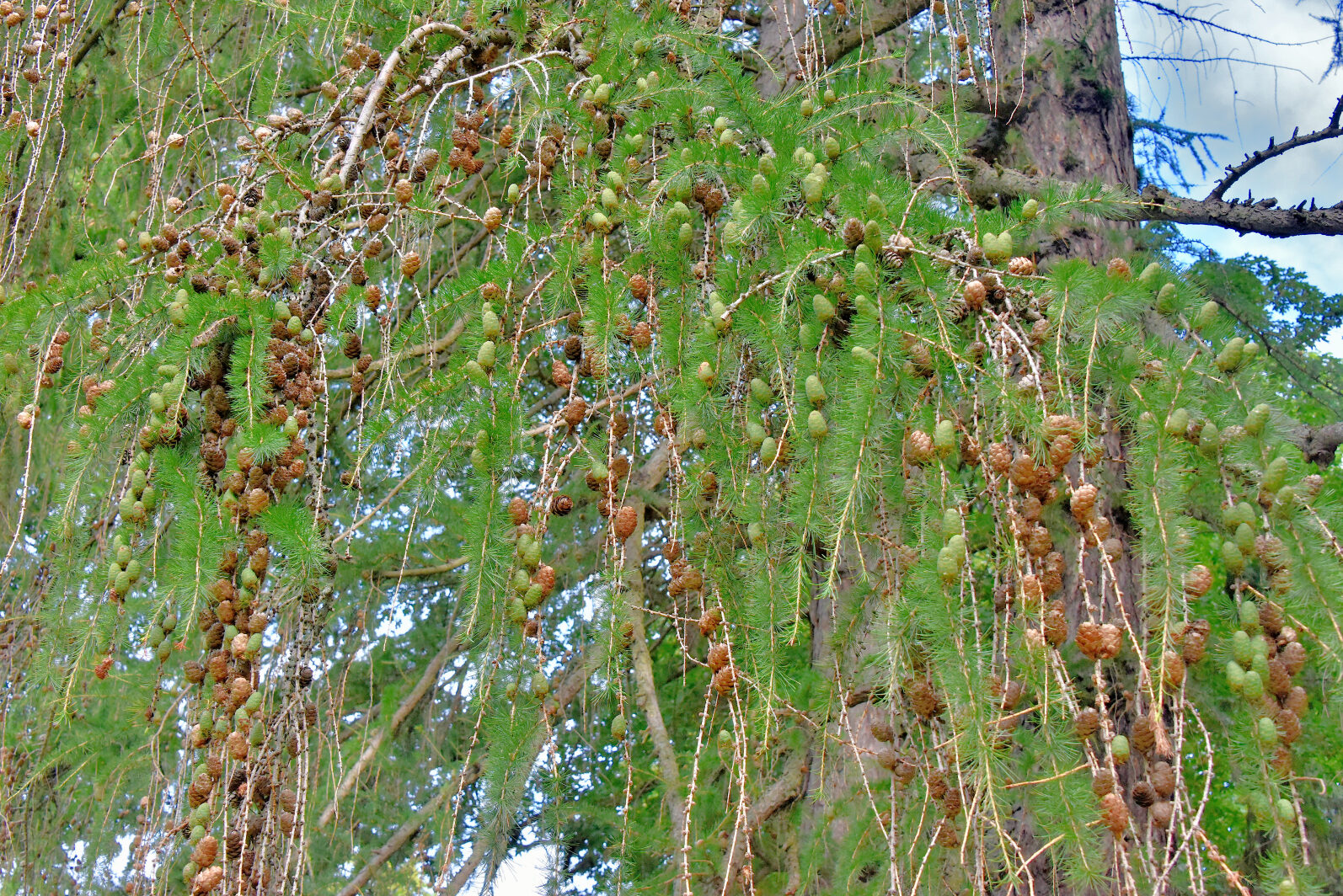 Valokuvaaja: Reijo Juurinen