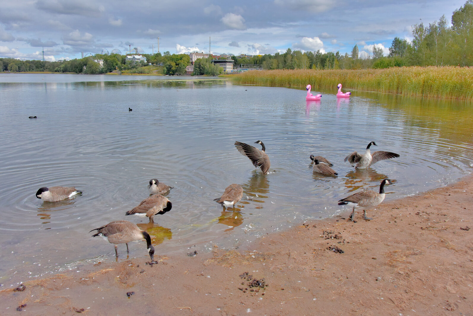 Valokuvaaja: Reijo Juurinen