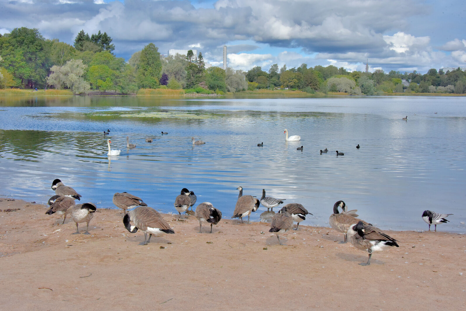 Valokuvaaja: Reijo Juurinen
