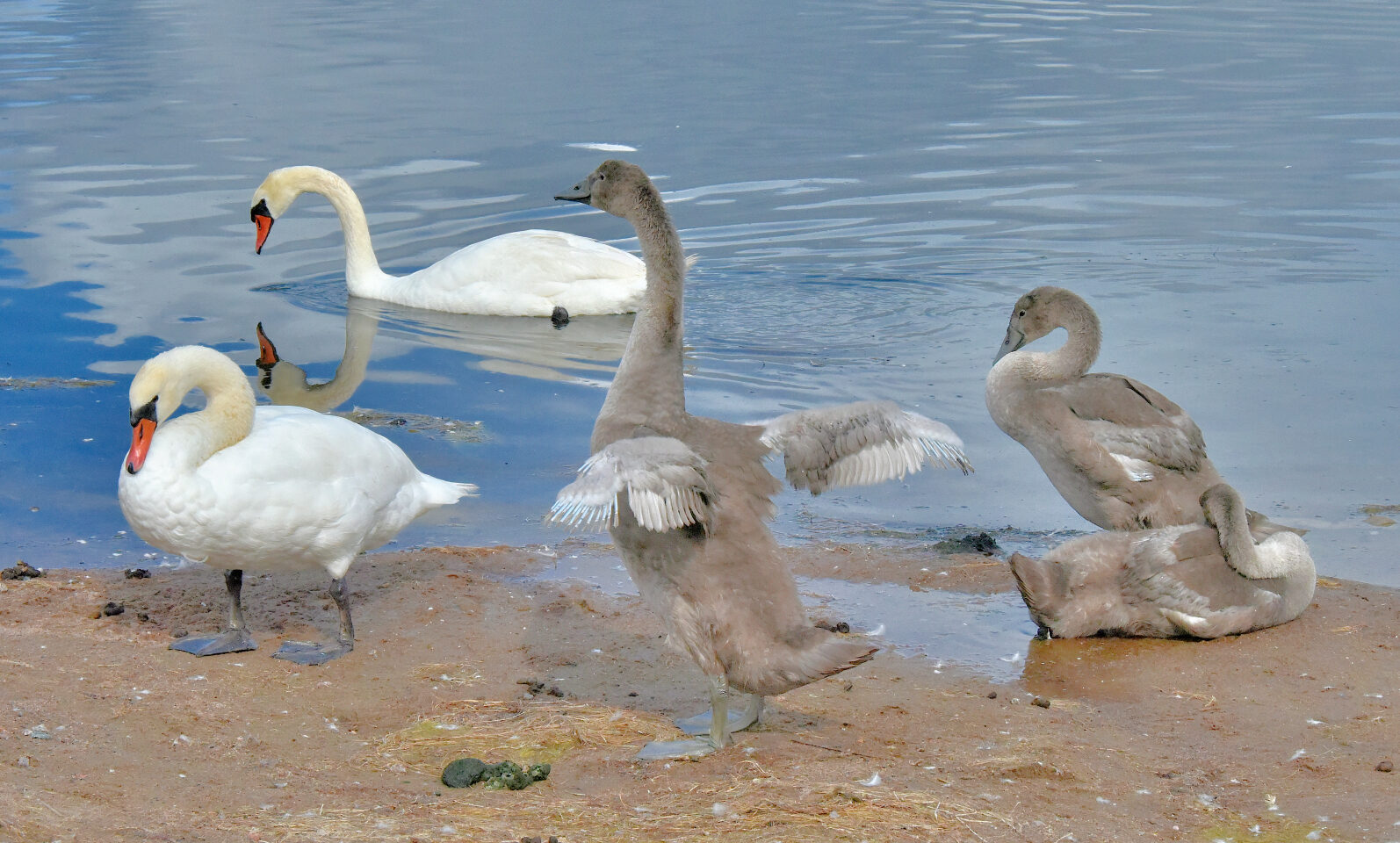 Valokuvaaja: Reijo Juurinen