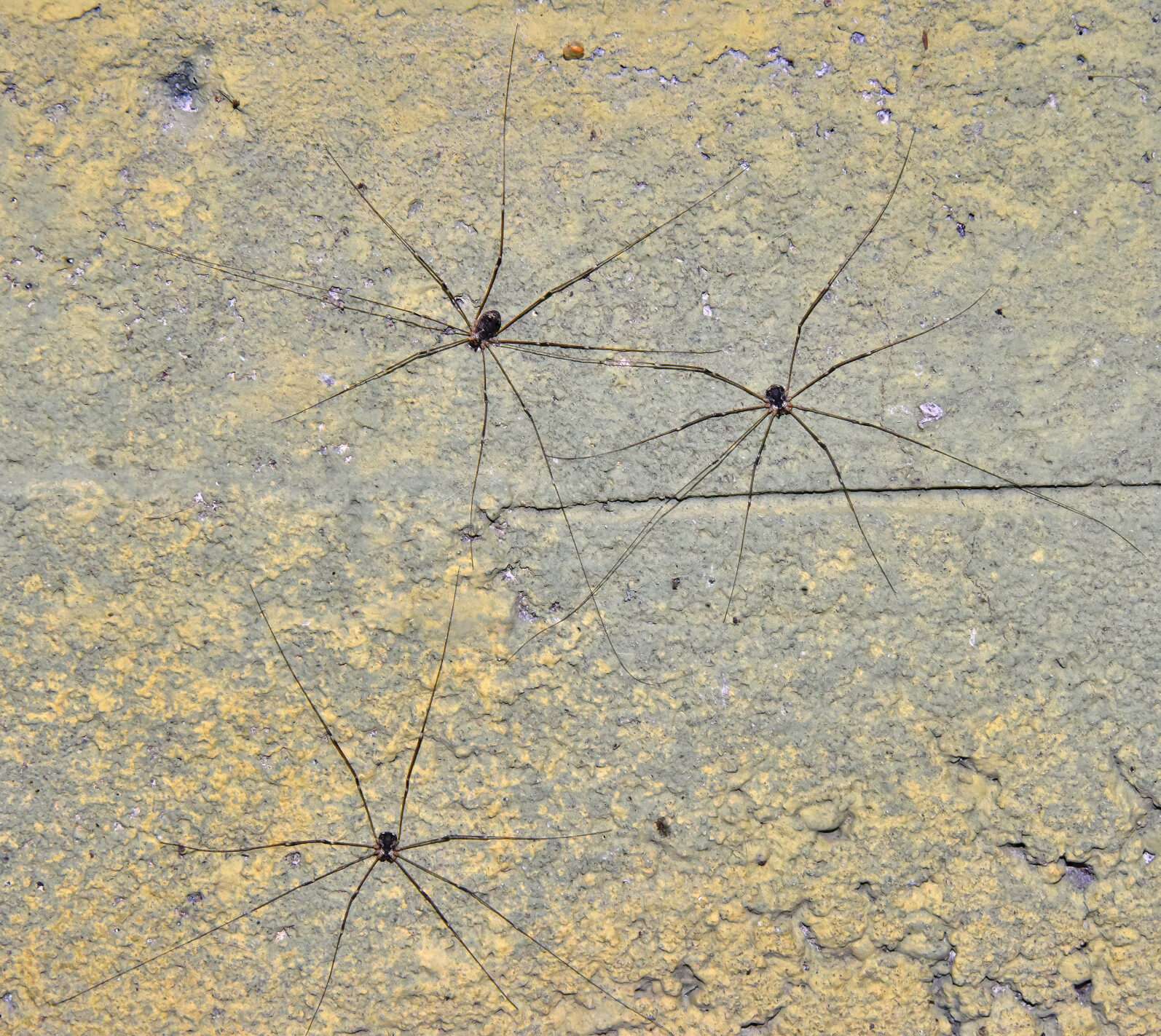 Valokuvaaja: Reijo Juurinen