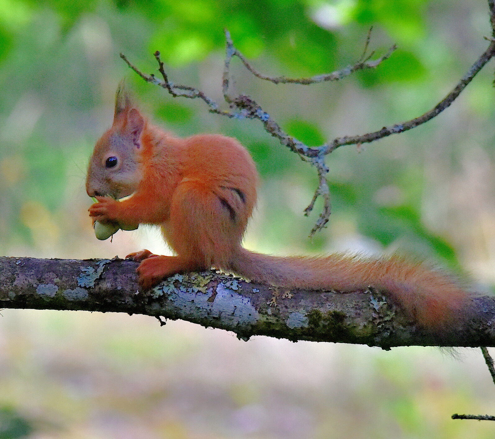Valokuvaaja: Reijo Juurinen