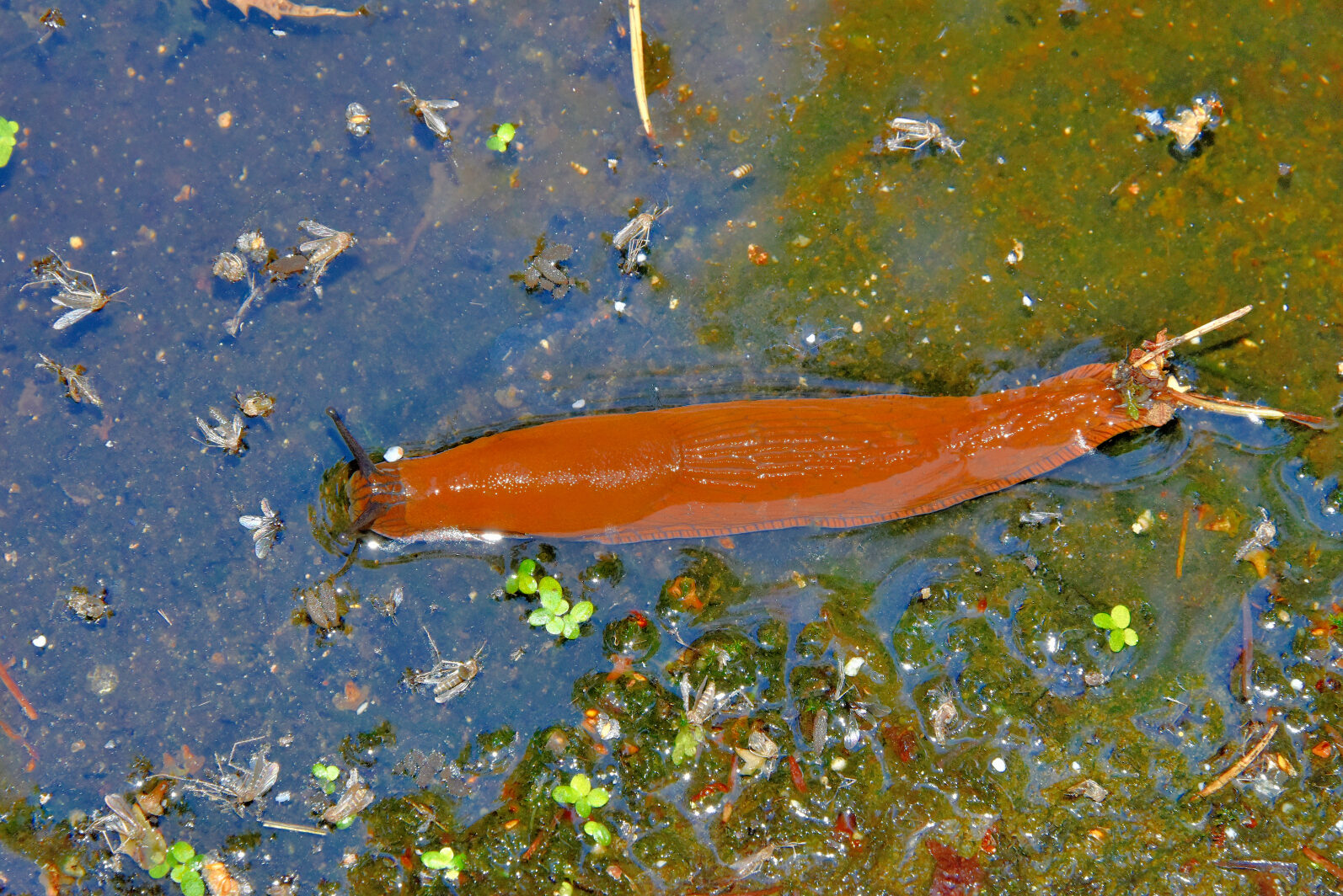 Valokuvaaja: Reijo Juurinen