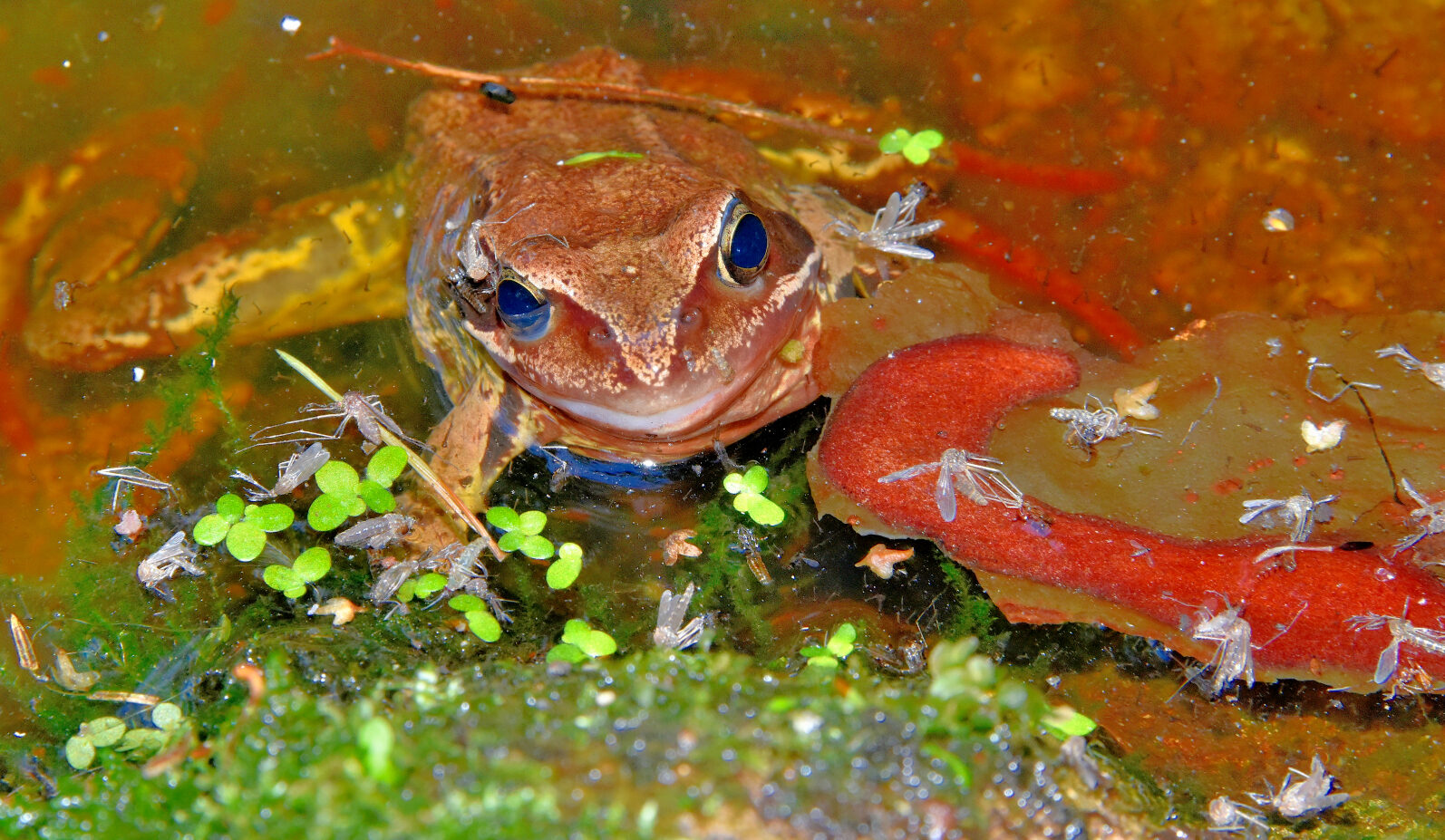 Valokuvaaja: Reijo Juurinen