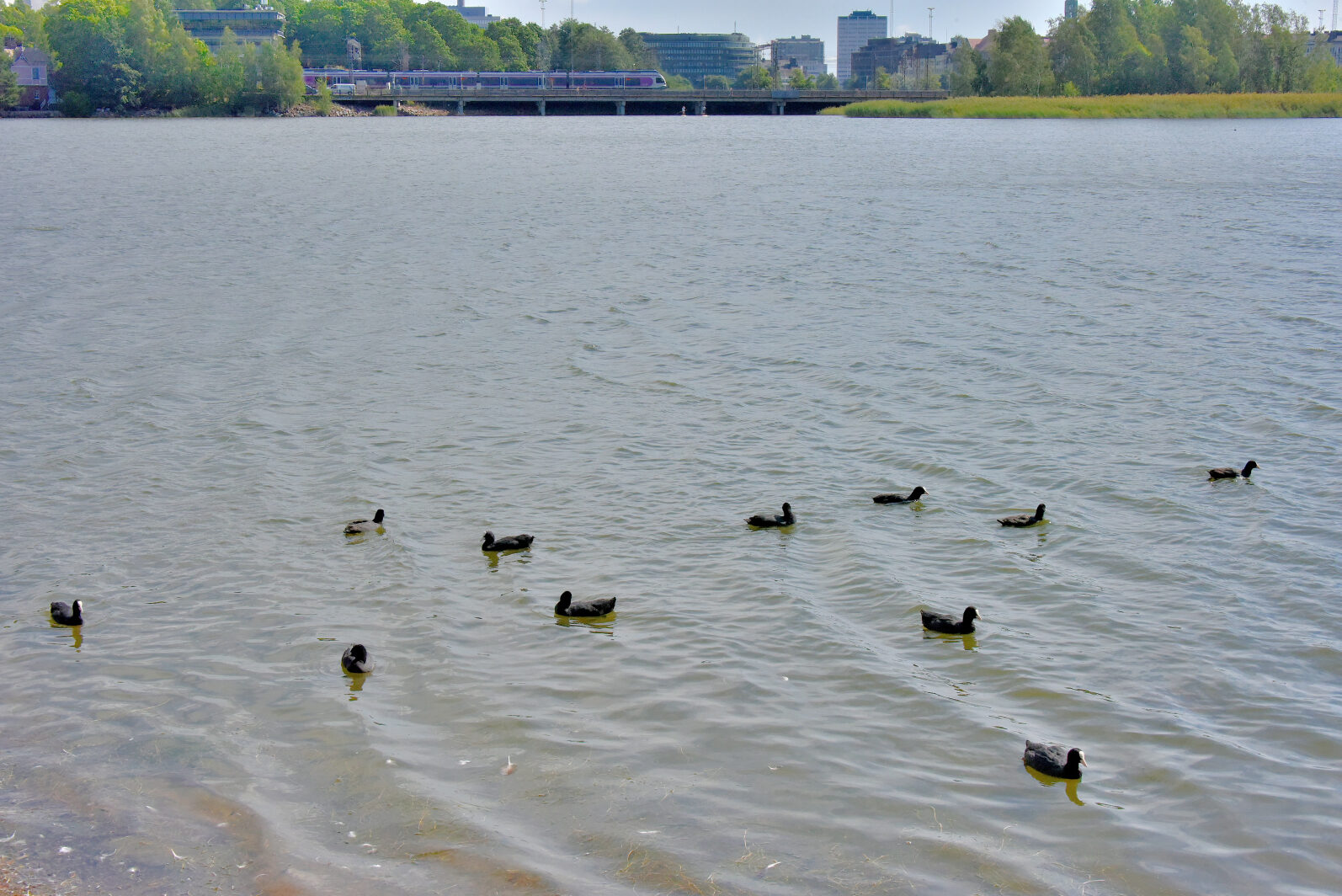 Valokuvaaja: Reijo Juurinen