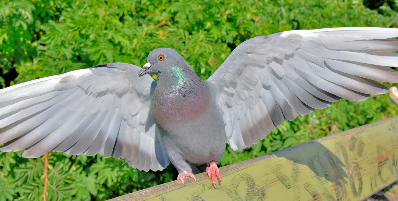 Valokuvaaja: Reijo Juurinen