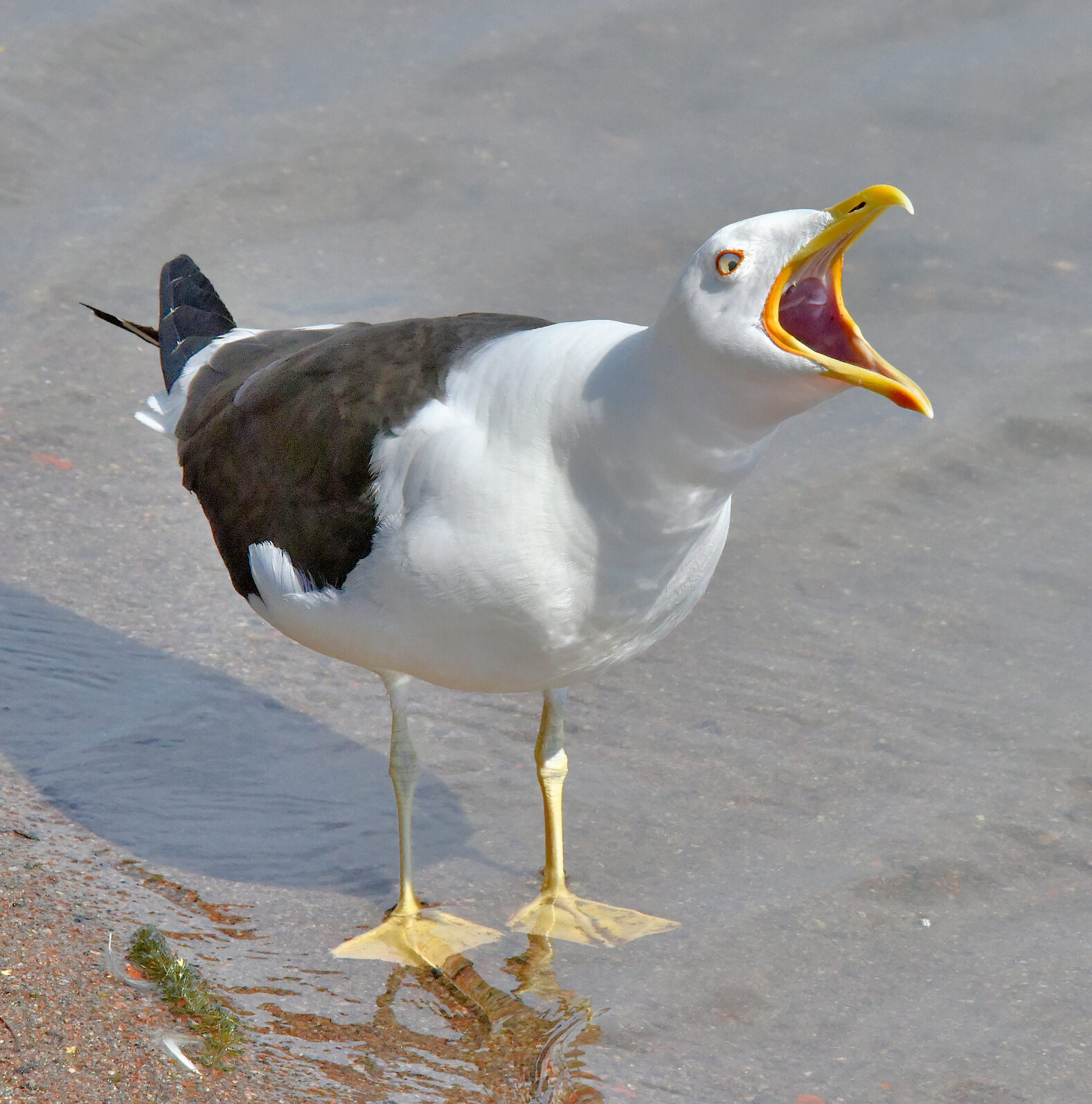 Valokuvaaja: Reijo Juurinen