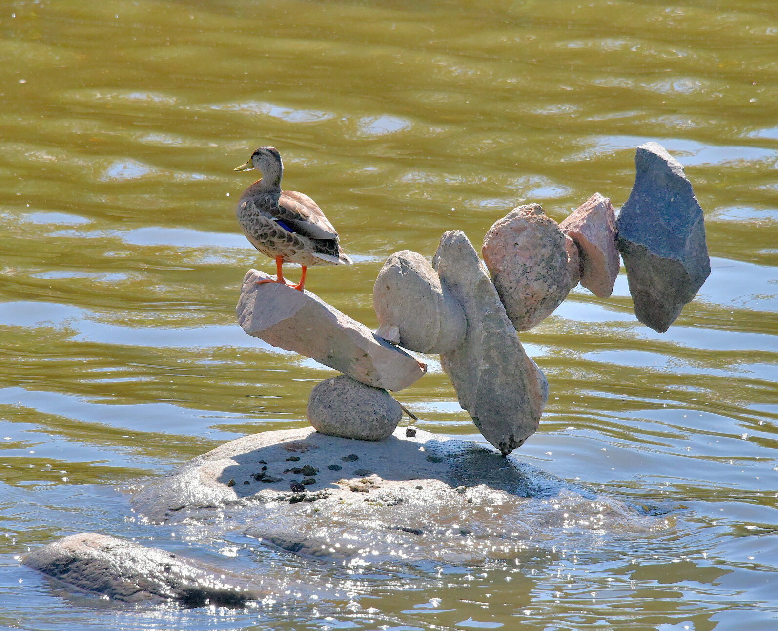 Valokuvaaja: Reijo Juurinen