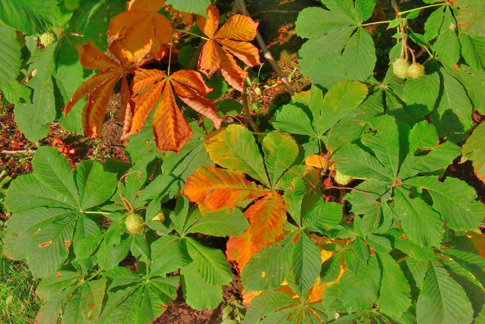 Valokuvaaja: Reijo Juurinen