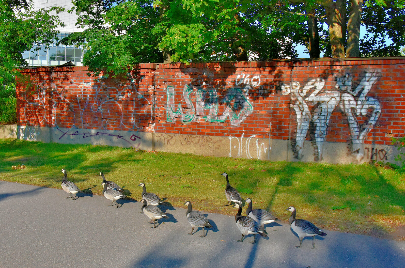 Valokuvaaja: Reijo Juurinen