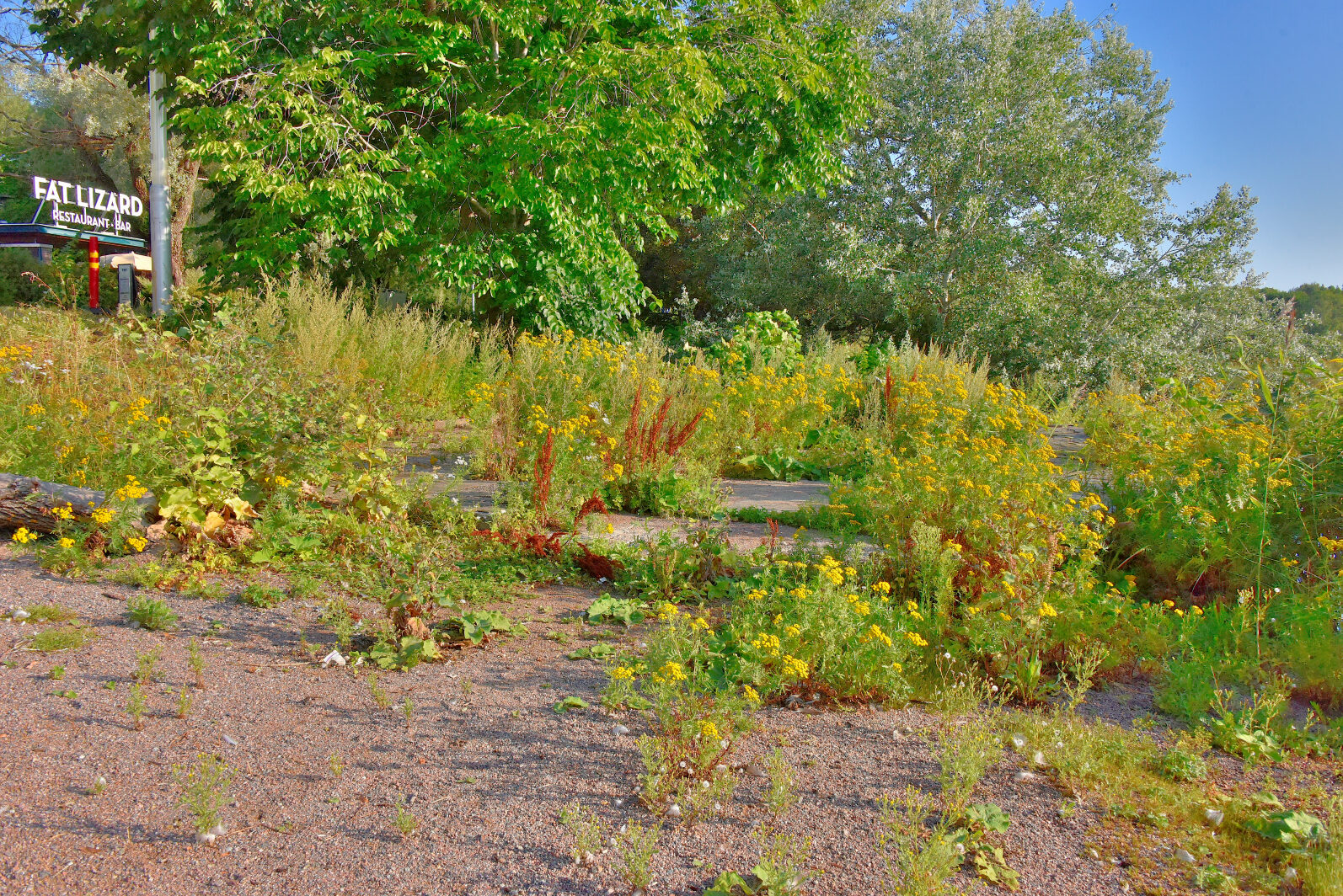 Valokuvaaja: Reijo Juurinen