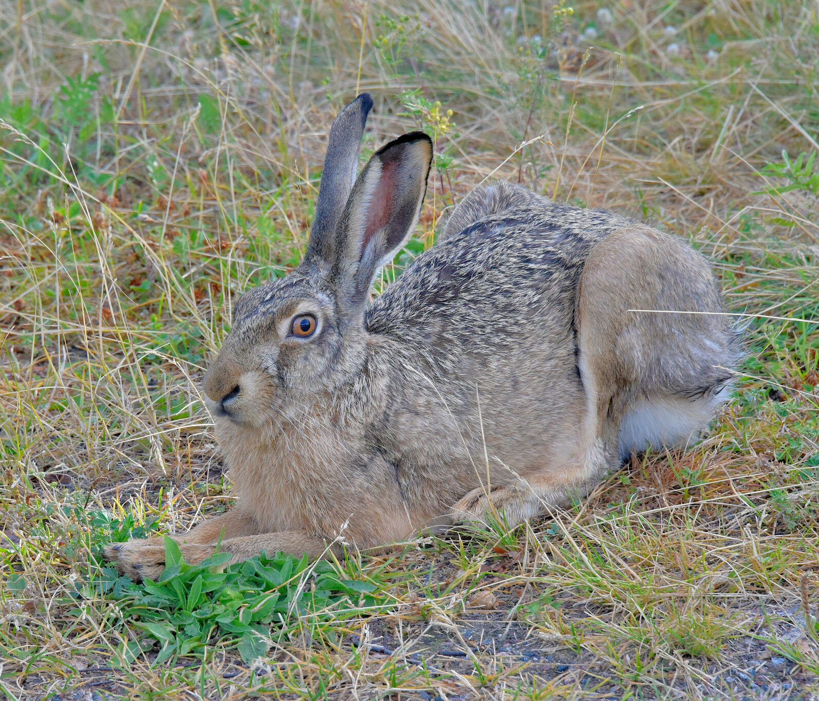 Valokuvaaja: Reijo Juurinen