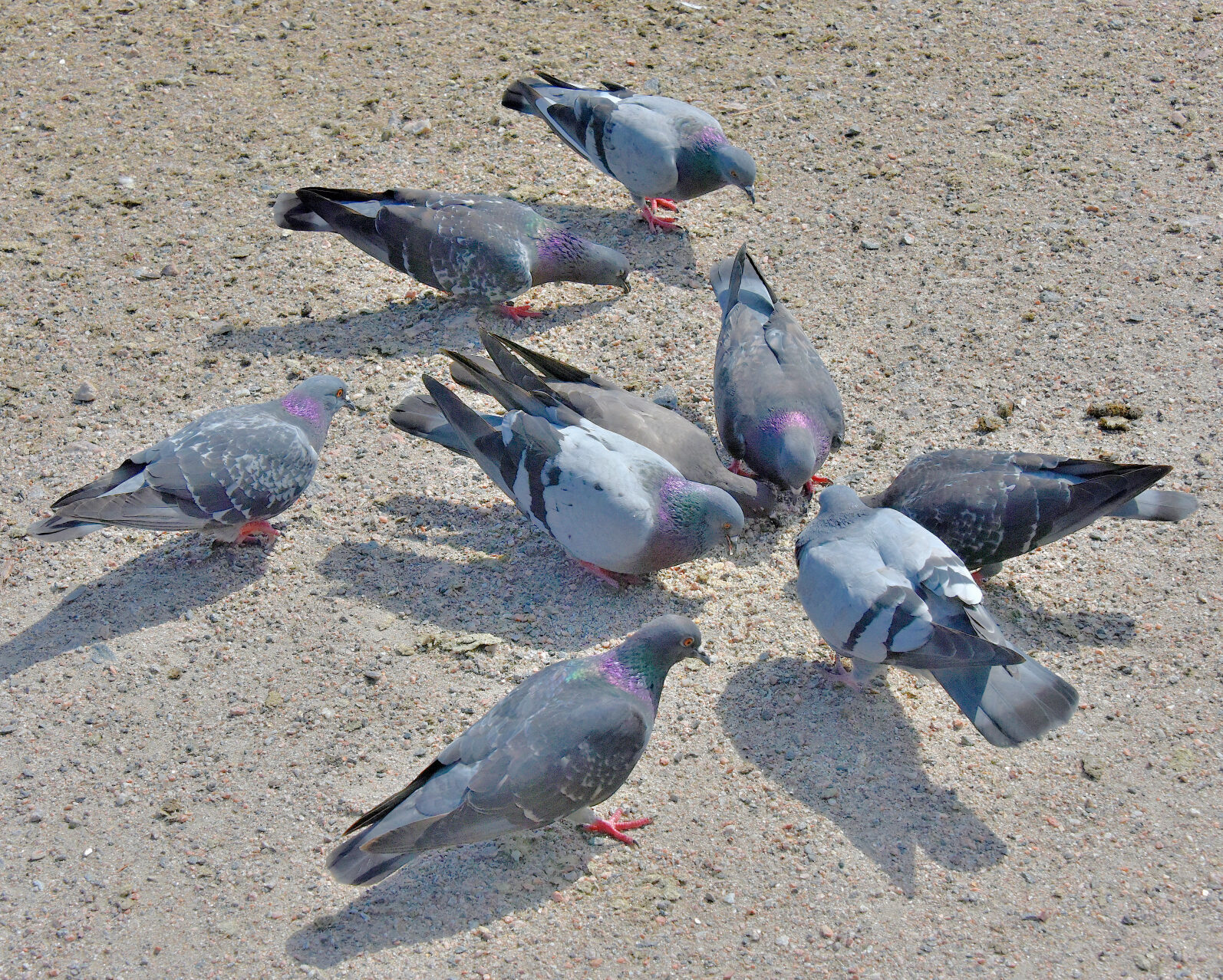 Valokuvaaja: Reijo Juurinen