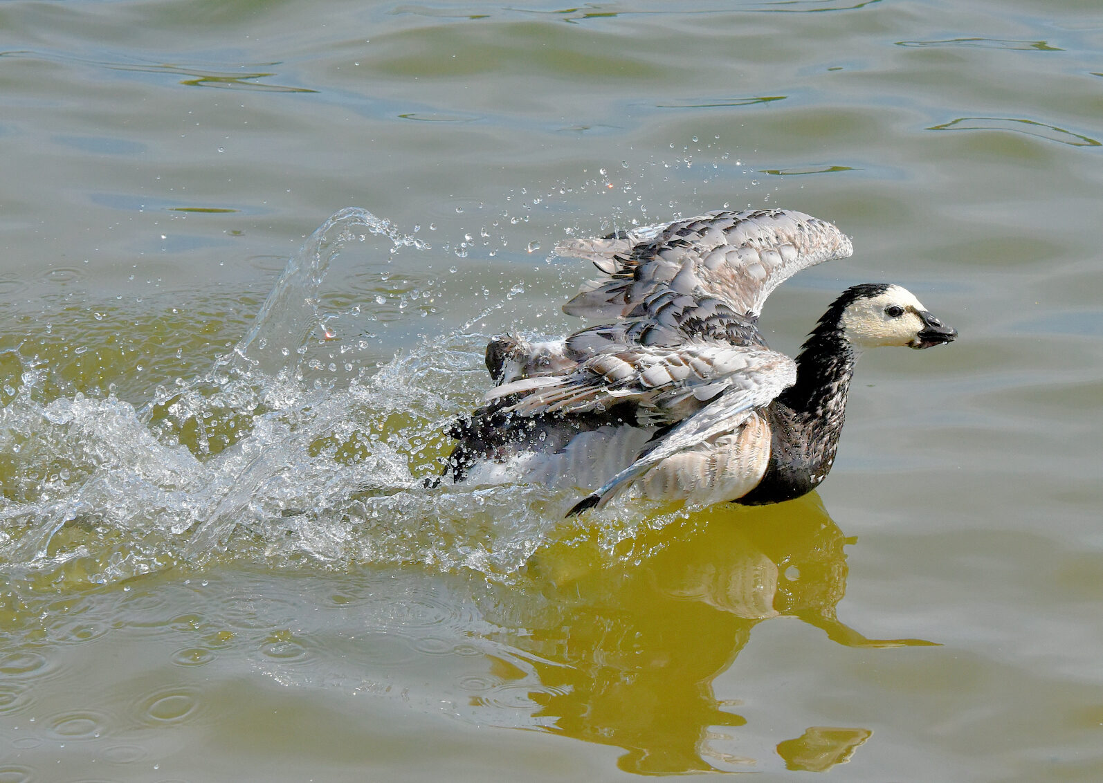 Valokuvaaja: Reijo Juurinen