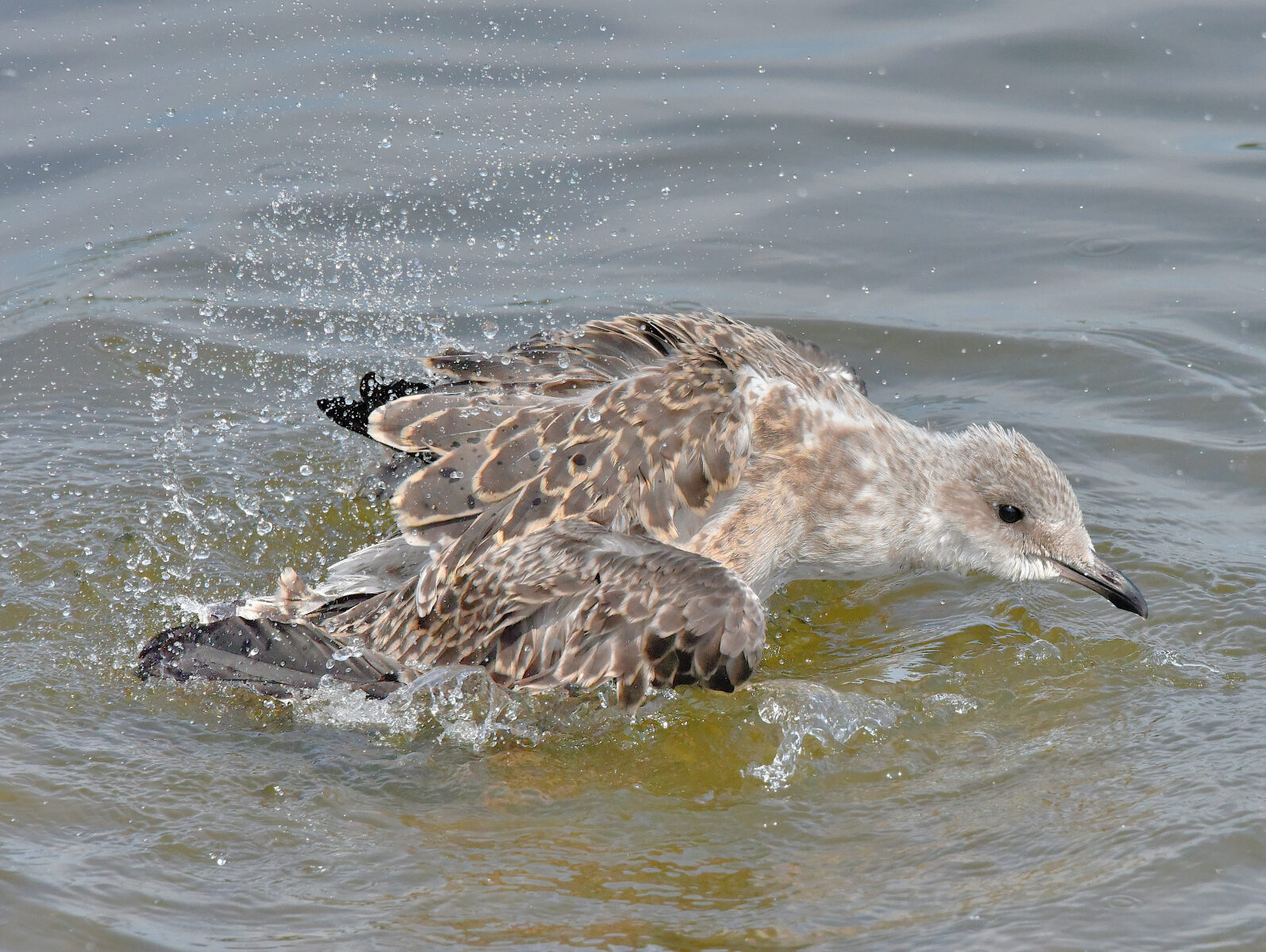Valokuvaaja: Reijo Juurinen