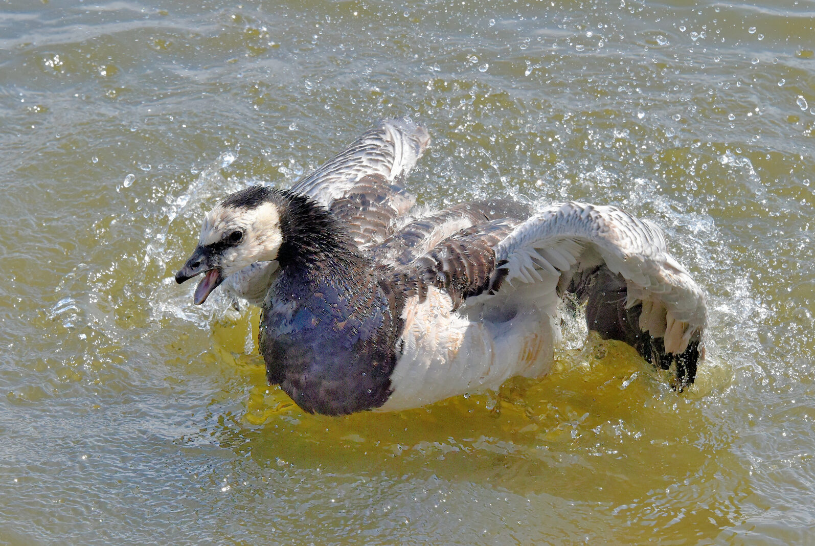 Valokuvaaja: Reijo Juurinen