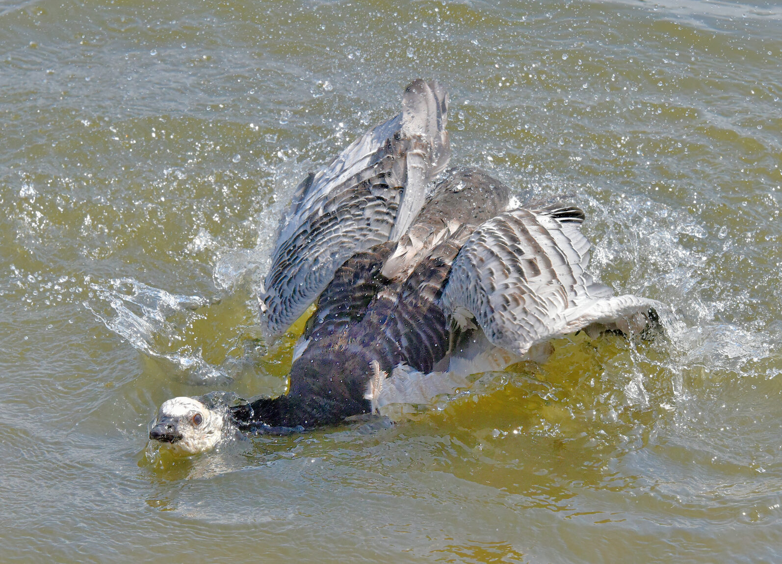 Valokuvaaja: Reijo Juurinen