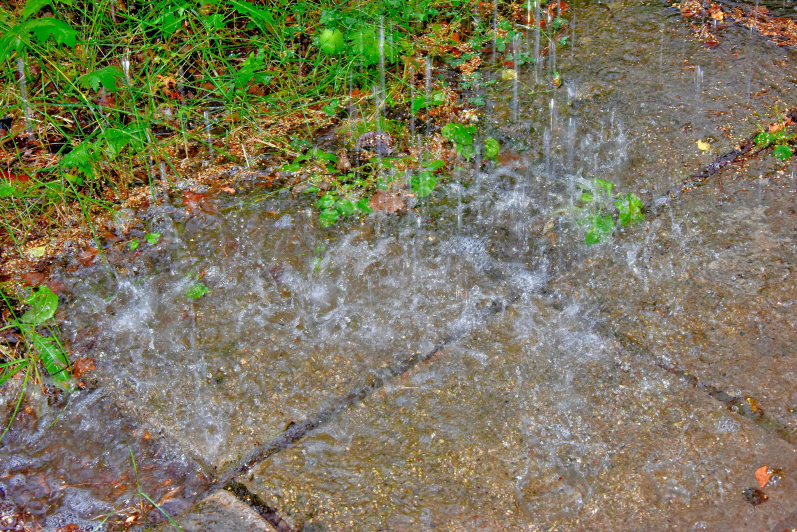 Valokuvaaja: Reijo Juurinen