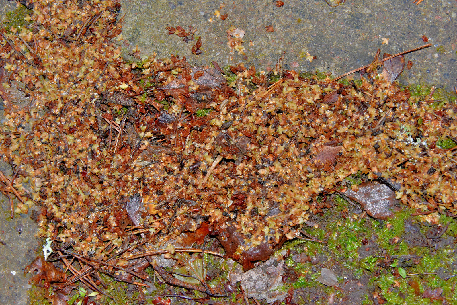 Valokuvaaja: Reijo Juurinen