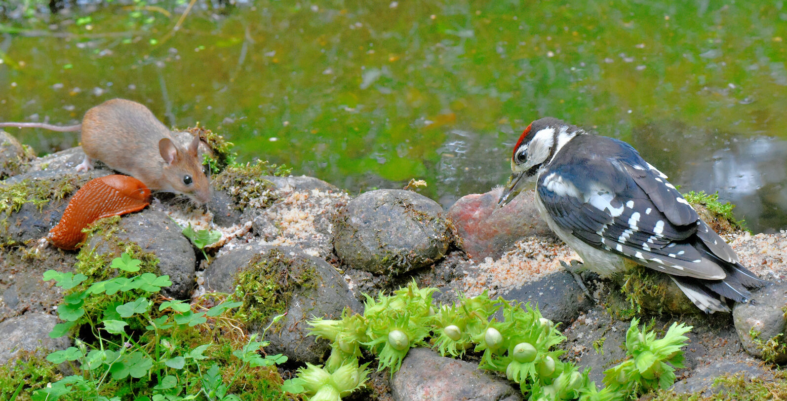 Valokuvaaja: Reijo Juurinen