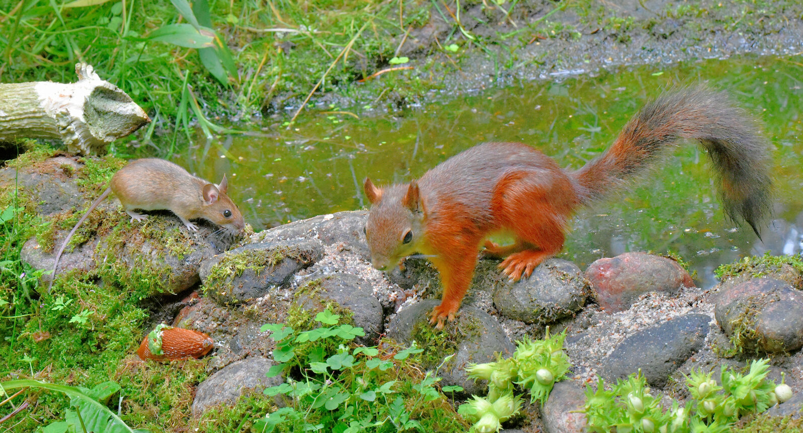 Valokuvaaja: Reijo Juurinen