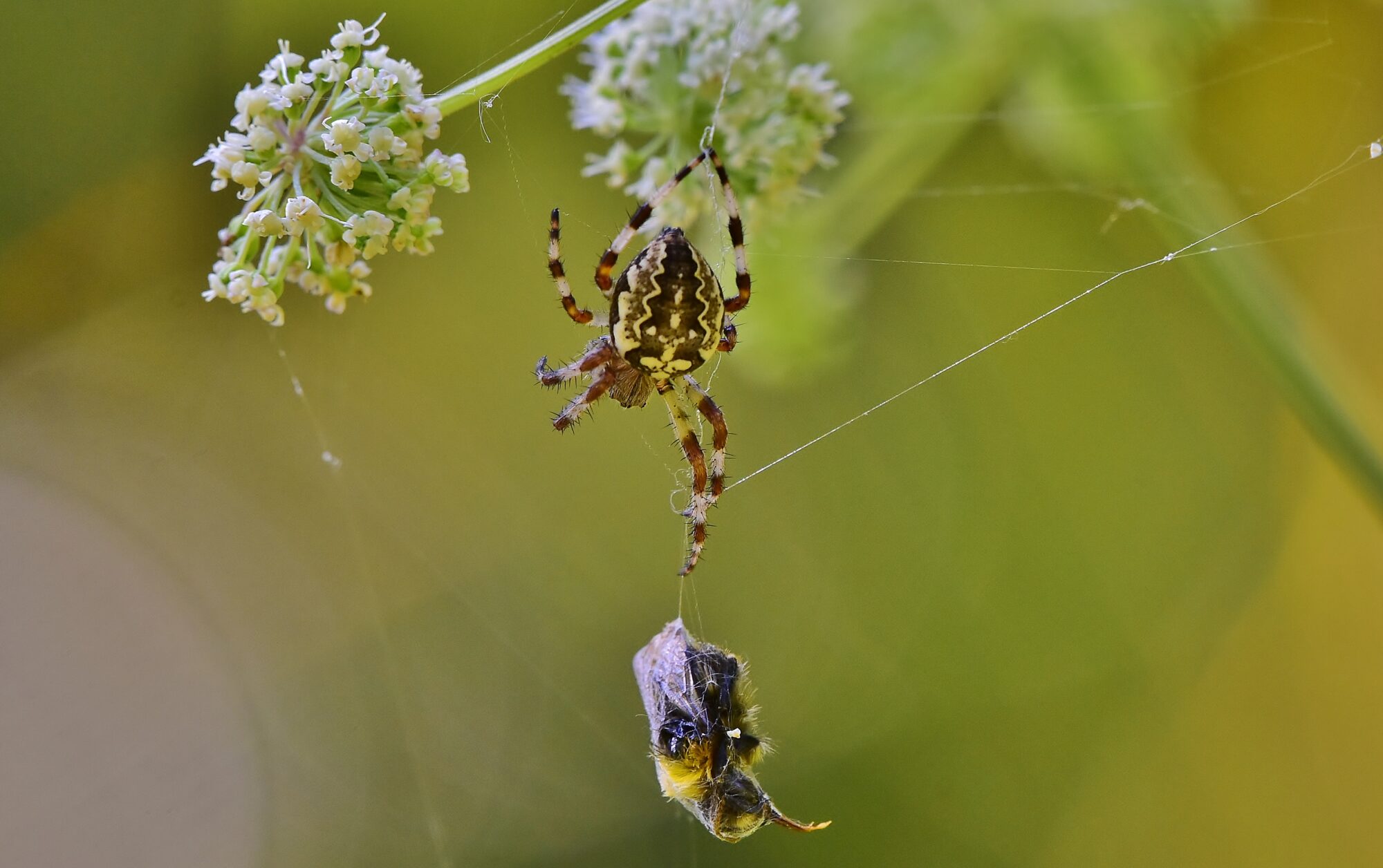 Valokuvaaja: Markku Pelkonen