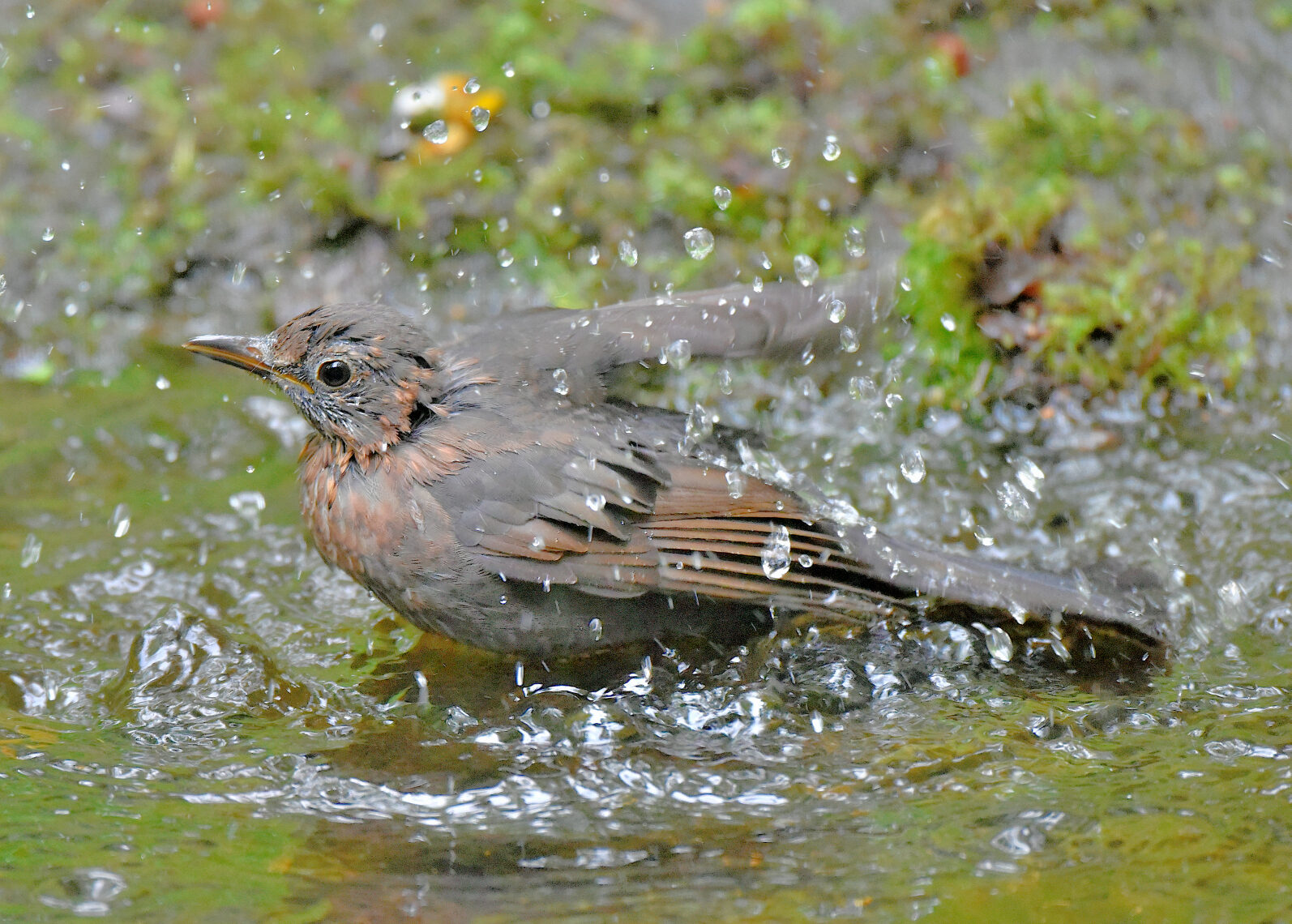 Valokuvaaja: Reijo Juurinen