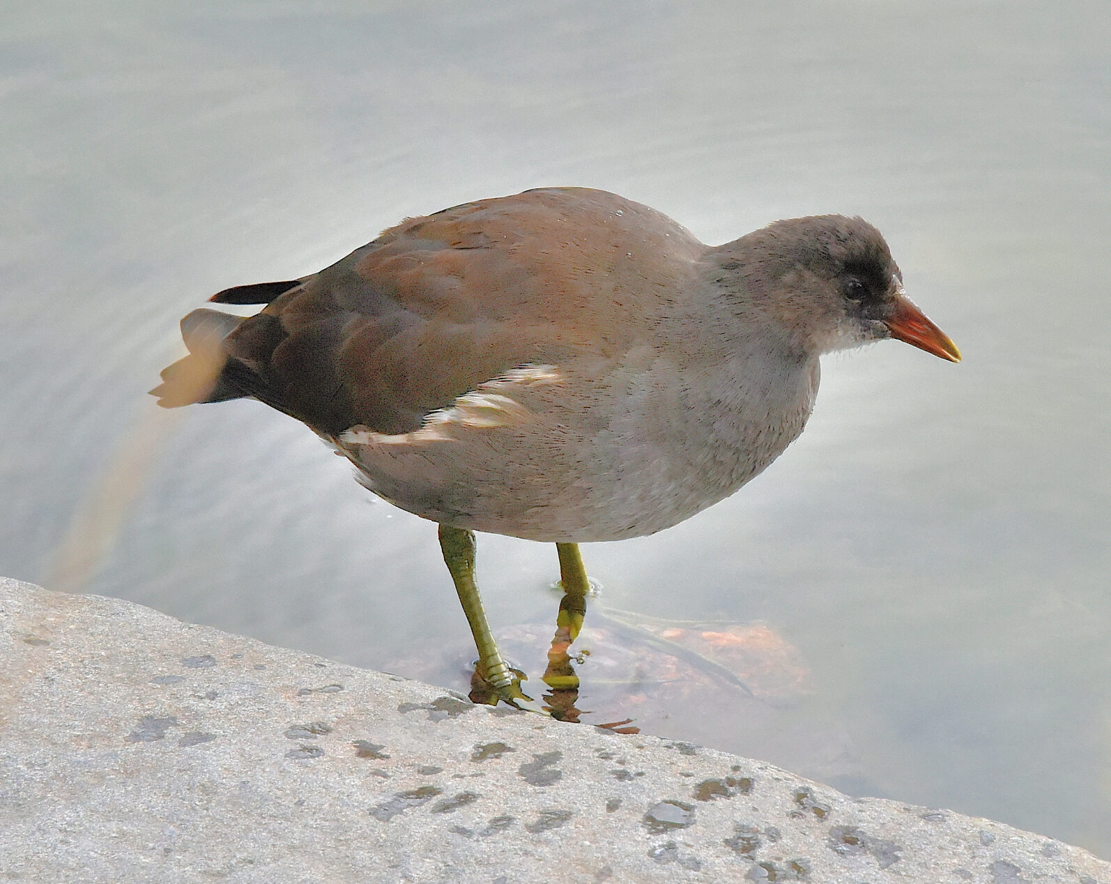 Valokuvaaja: Reijo Juurinen