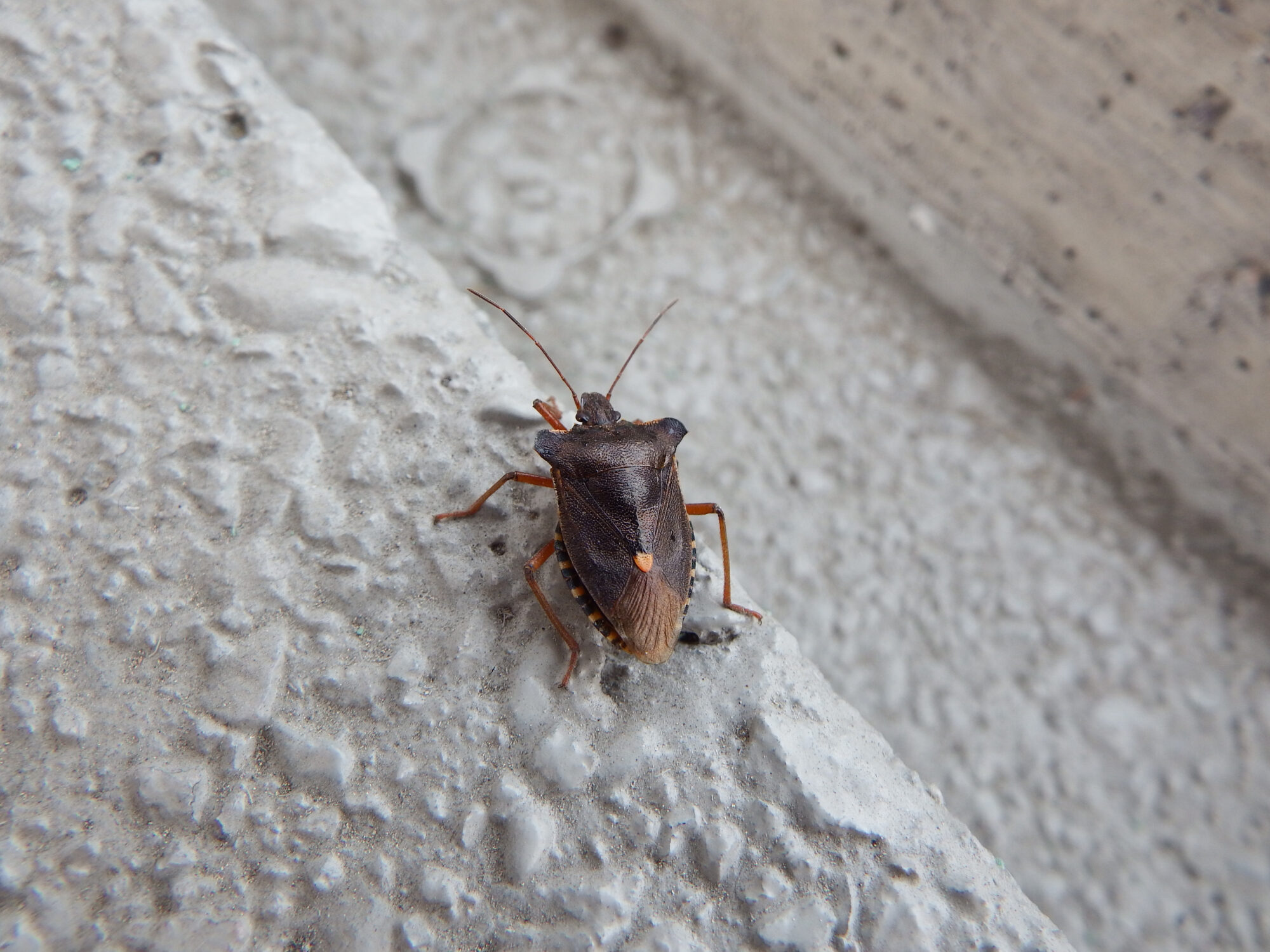 Valokuvaaja: Toni Asikainen