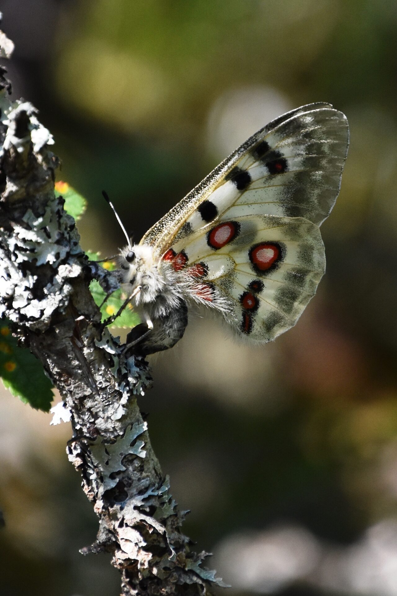 Valokuvaaja: Juha Majala