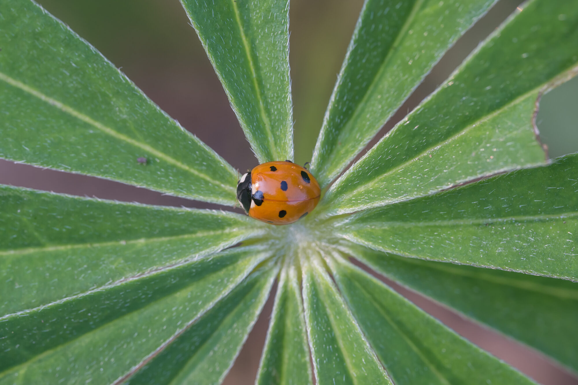 Valokuvaaja: Markku Saarinen
