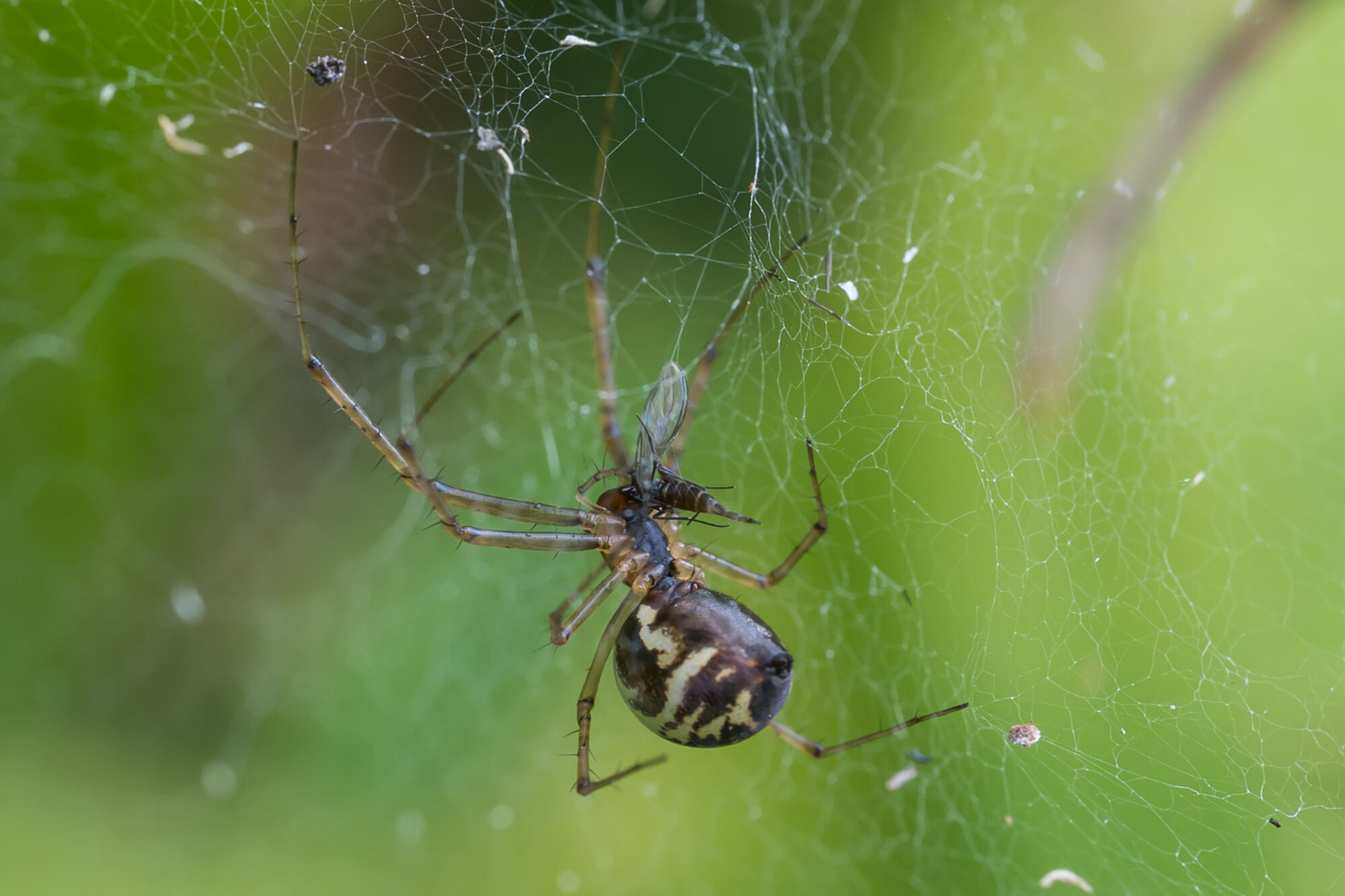 Valokuvaaja: Markku Saarinen