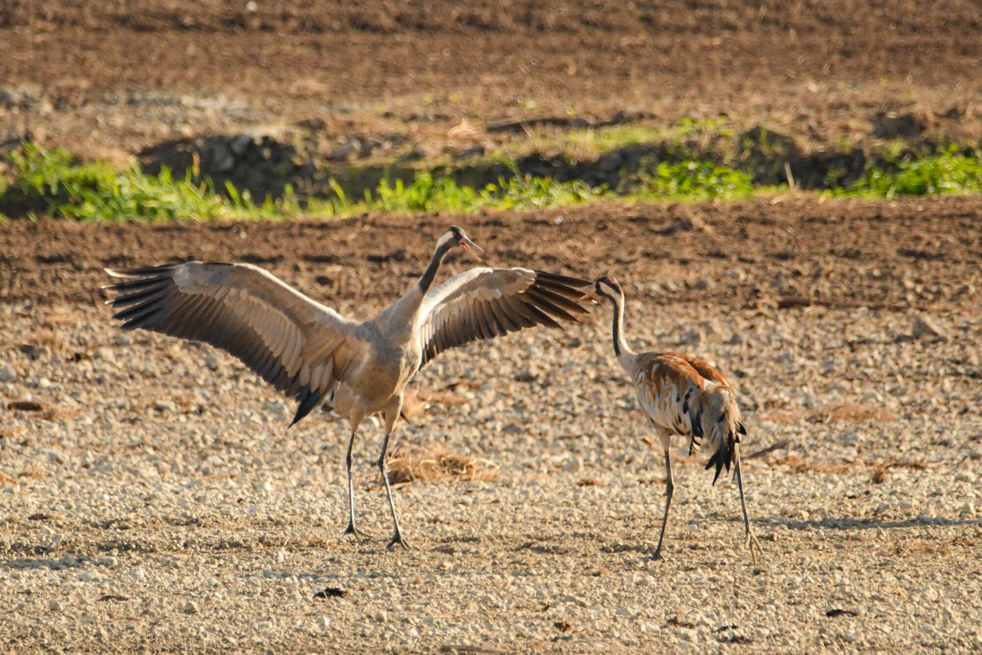 Valokuvaaja: Maija savolainen