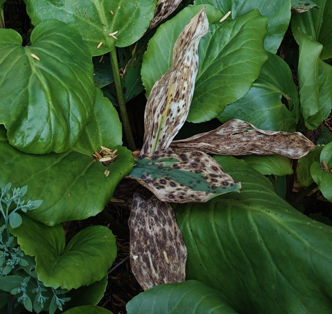 Valokuvaaja: Anne Laakso