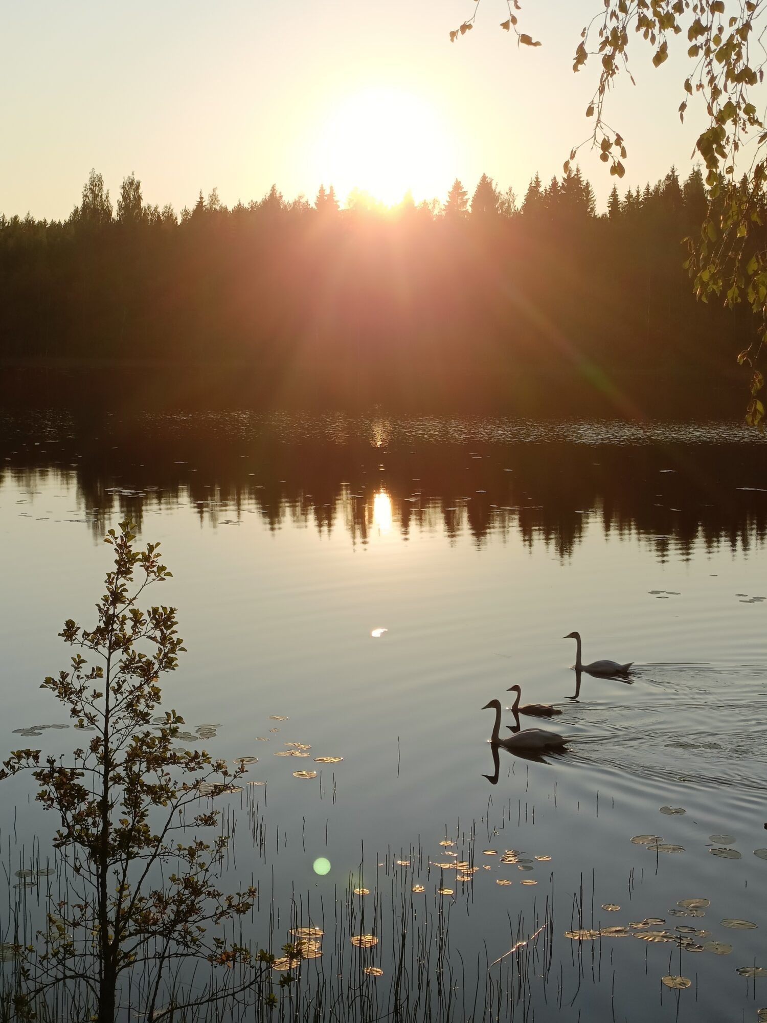 Valokuvaaja: Riitta Peltonen