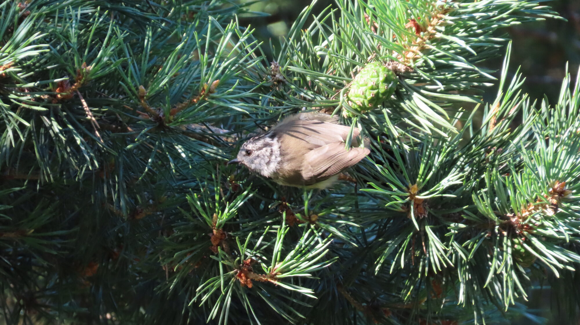 Valokuvaaja: Netta Halmu