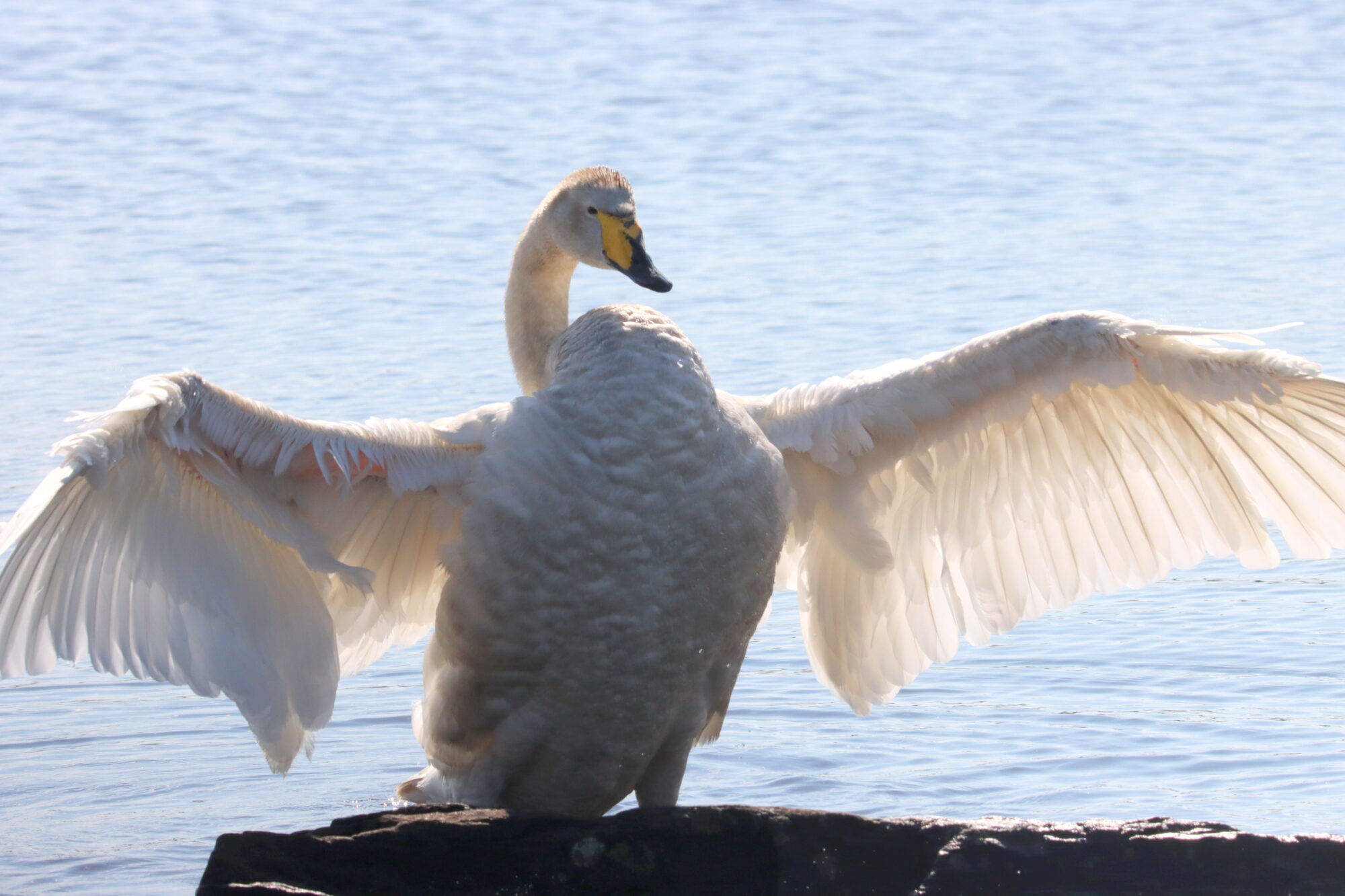 Valokuvaaja: Irja Lehtinen