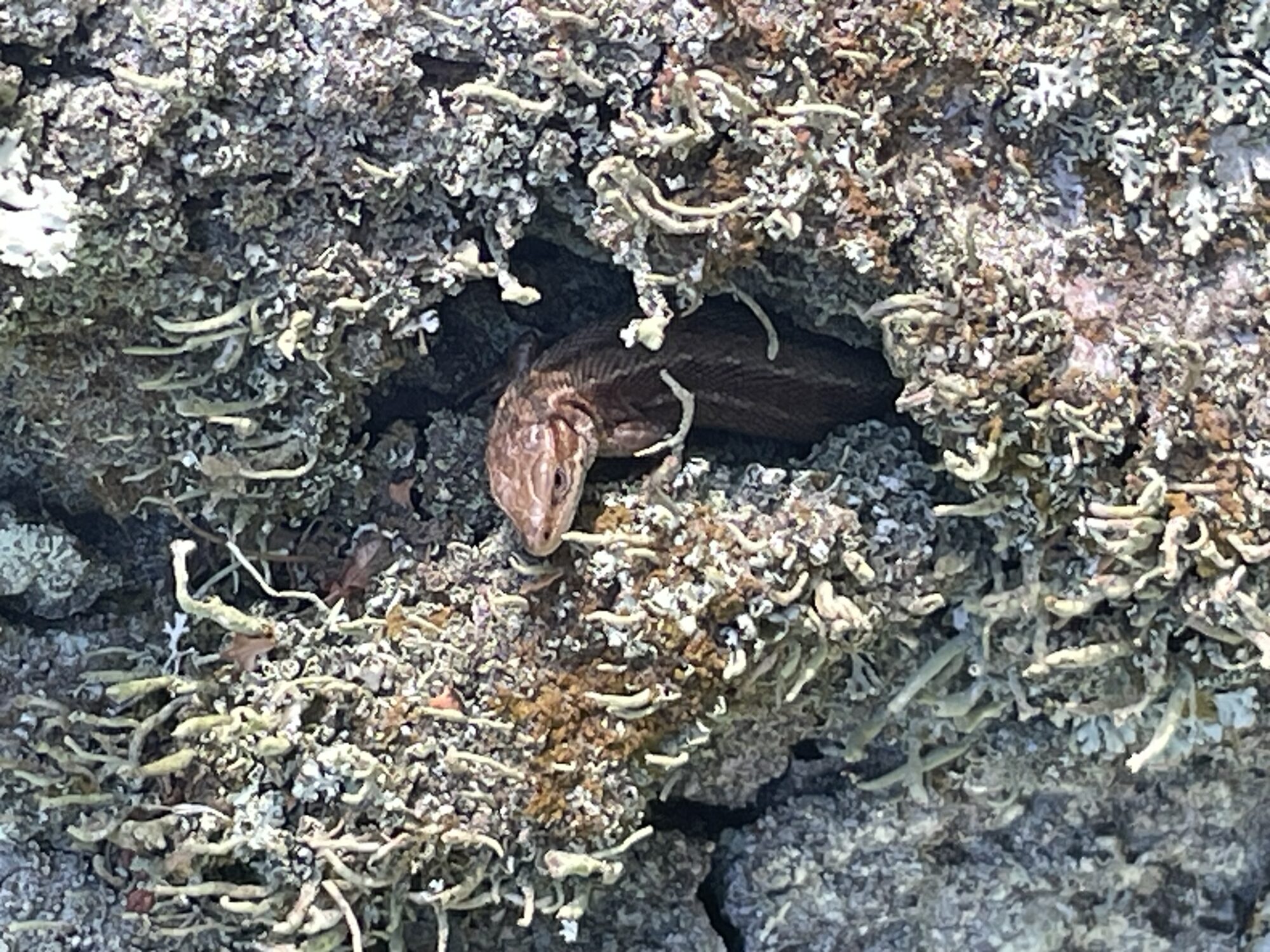 Valokuvaaja: Anna Havunta