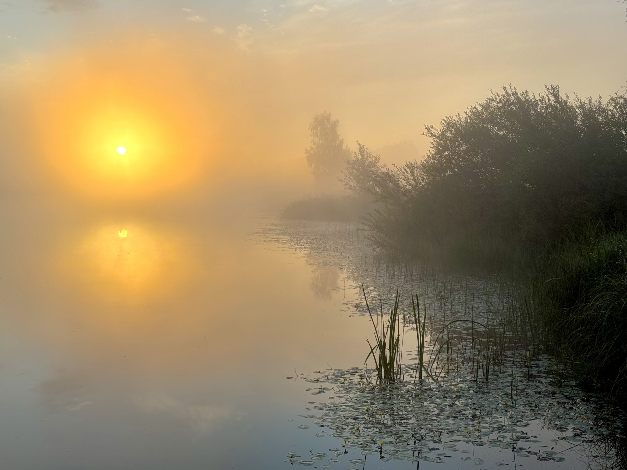 Valokuvaaja: Juhani Peltonen