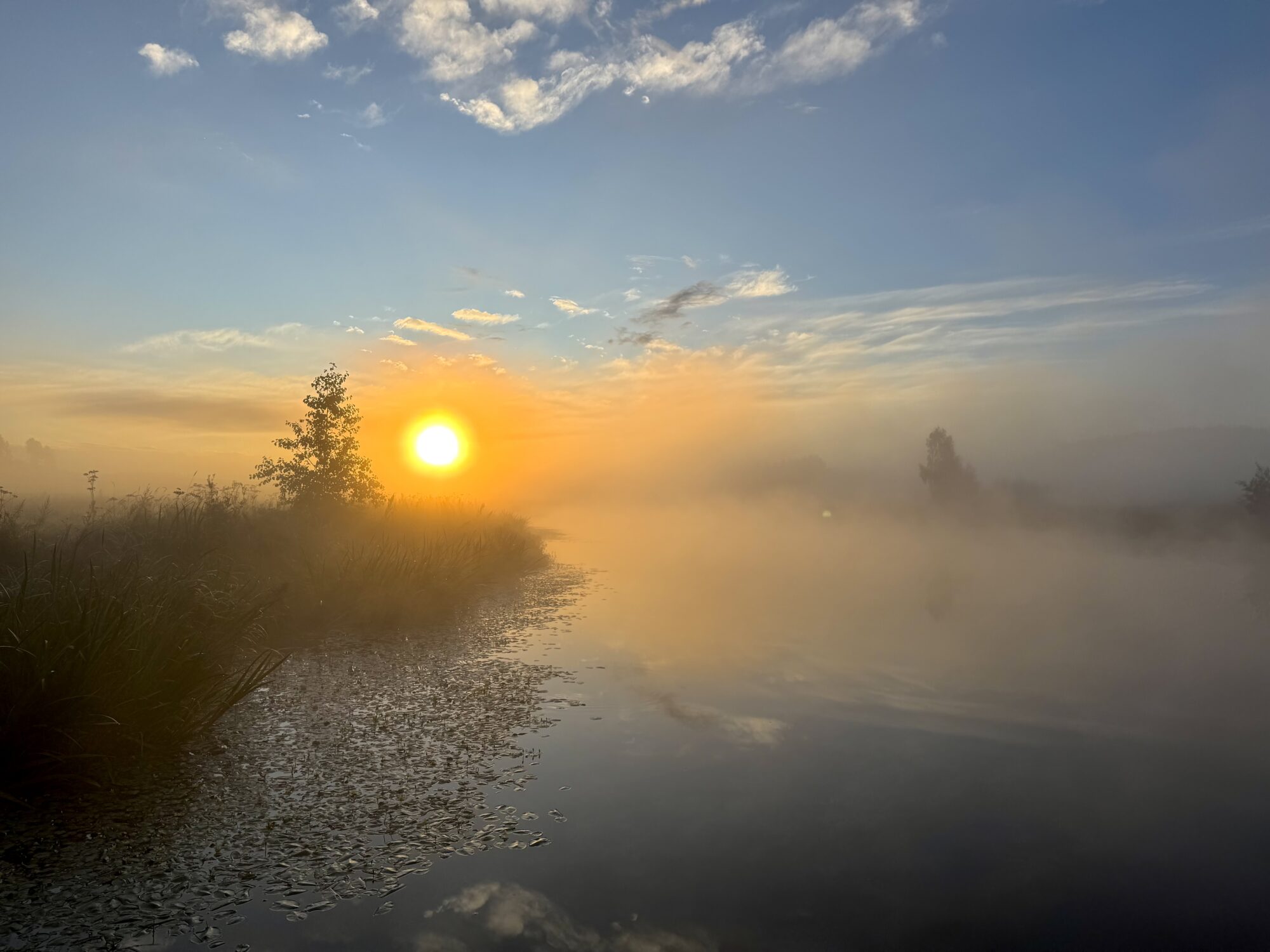 Valokuvaaja: Juhani Peltonen