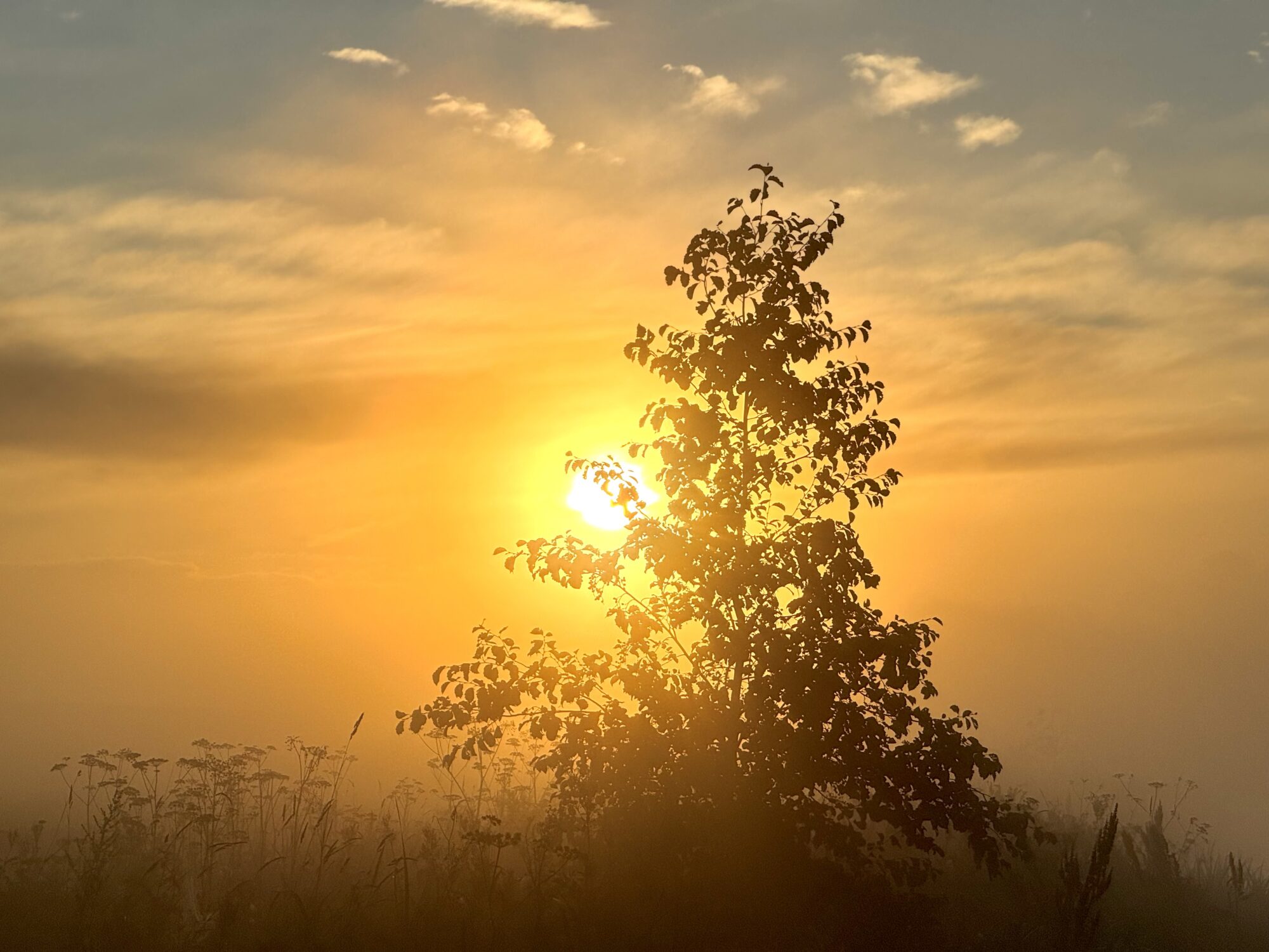 Valokuvaaja: Juhani Peltonen