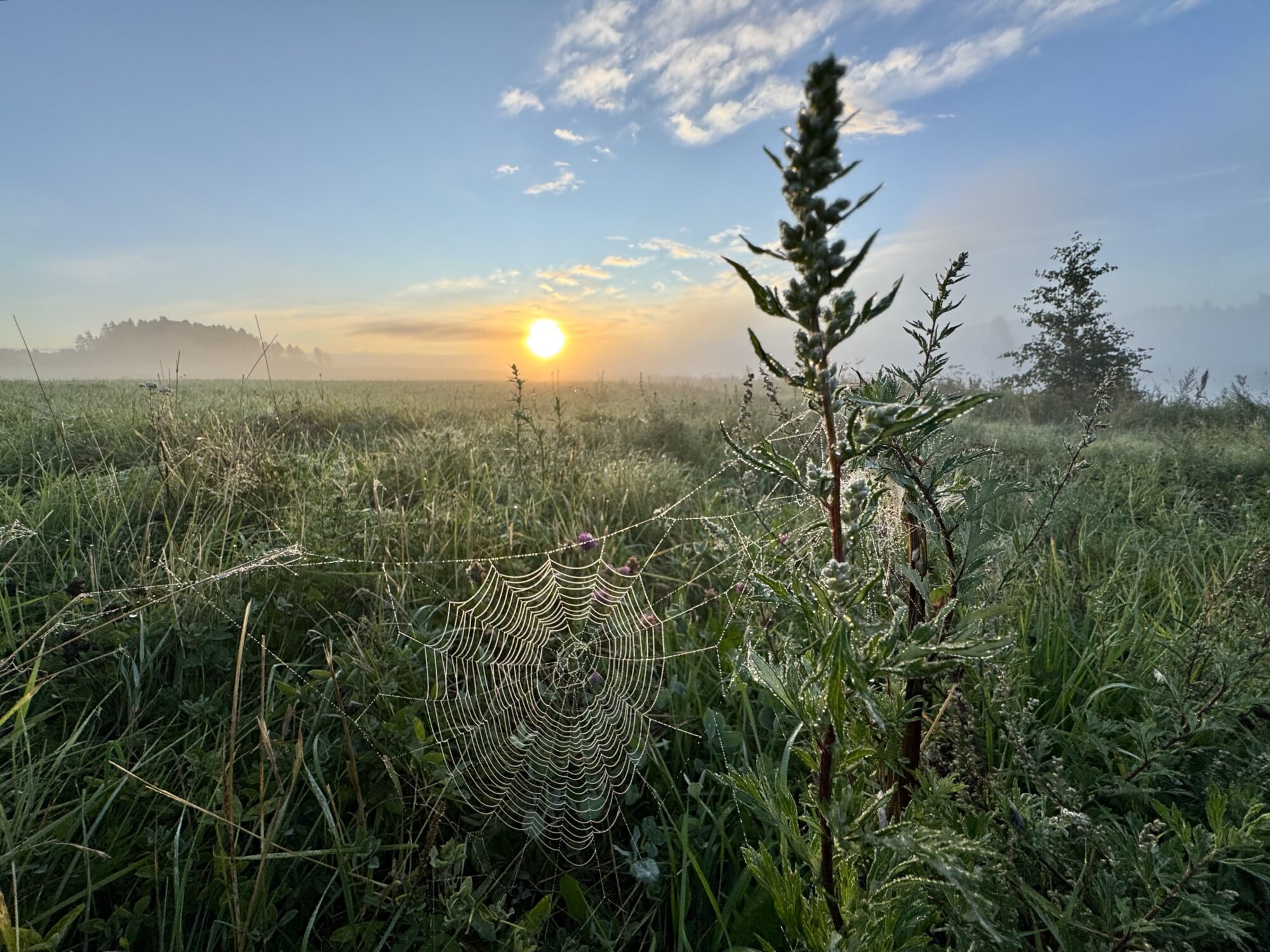 Valokuvaaja: Juhani Peltonen