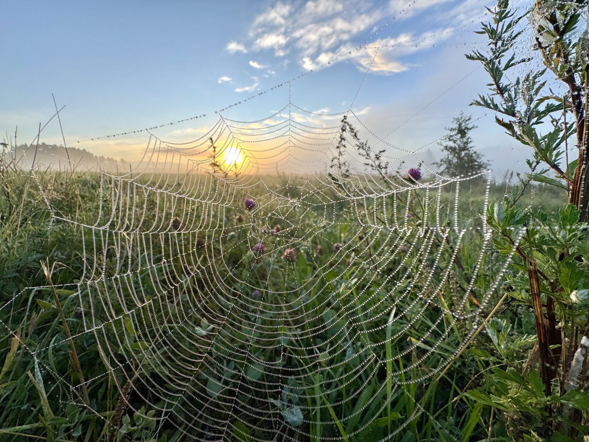 Valokuvaaja: Juhani Peltonen