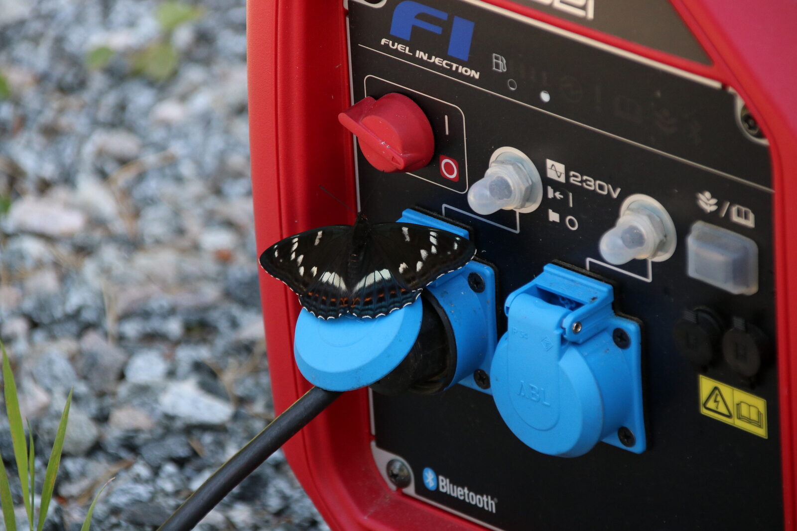 Valokuvaaja: Helena Sytelä