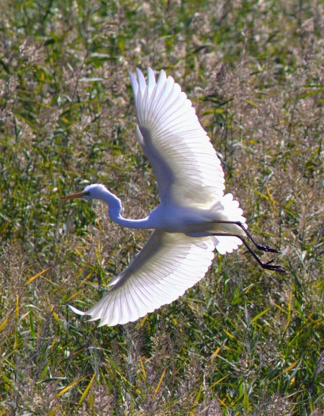 Valokuvaaja: Tapio Keinonen