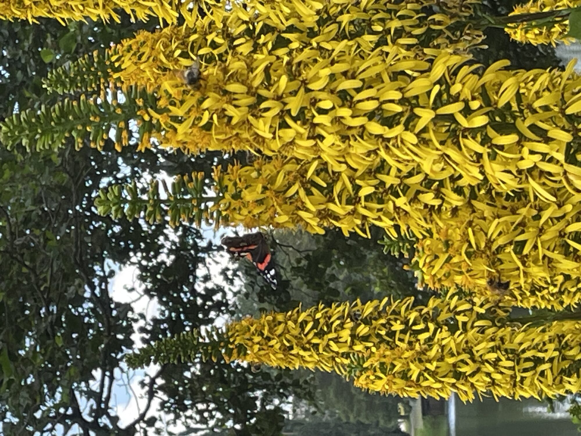 Valokuvaaja: Suvi Rautasade